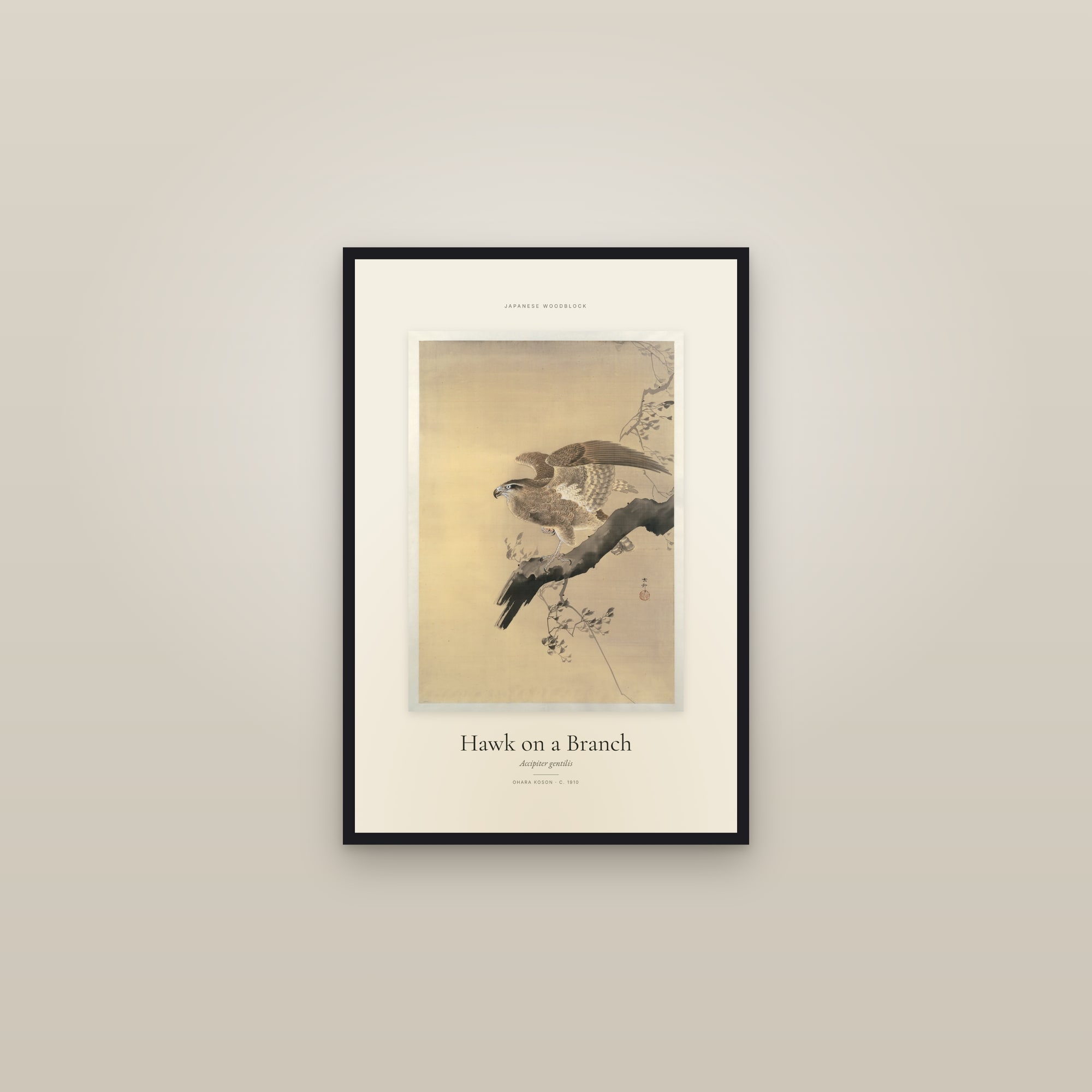 Hawk on a Branch — Specimen