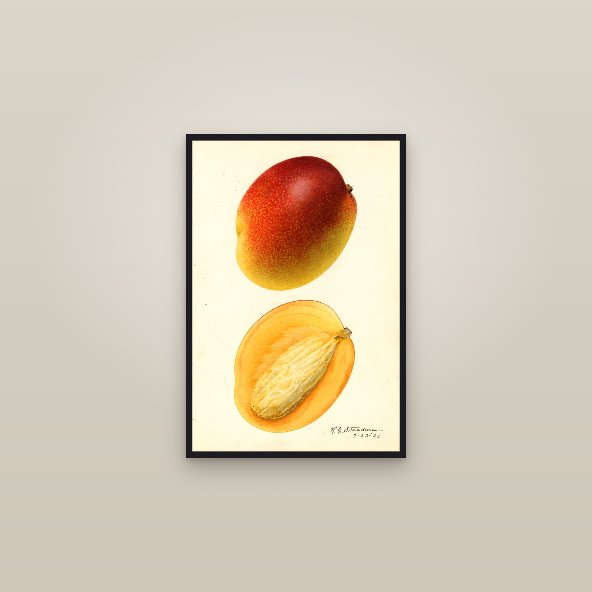 Hayden Mango — framed in a gallery setting