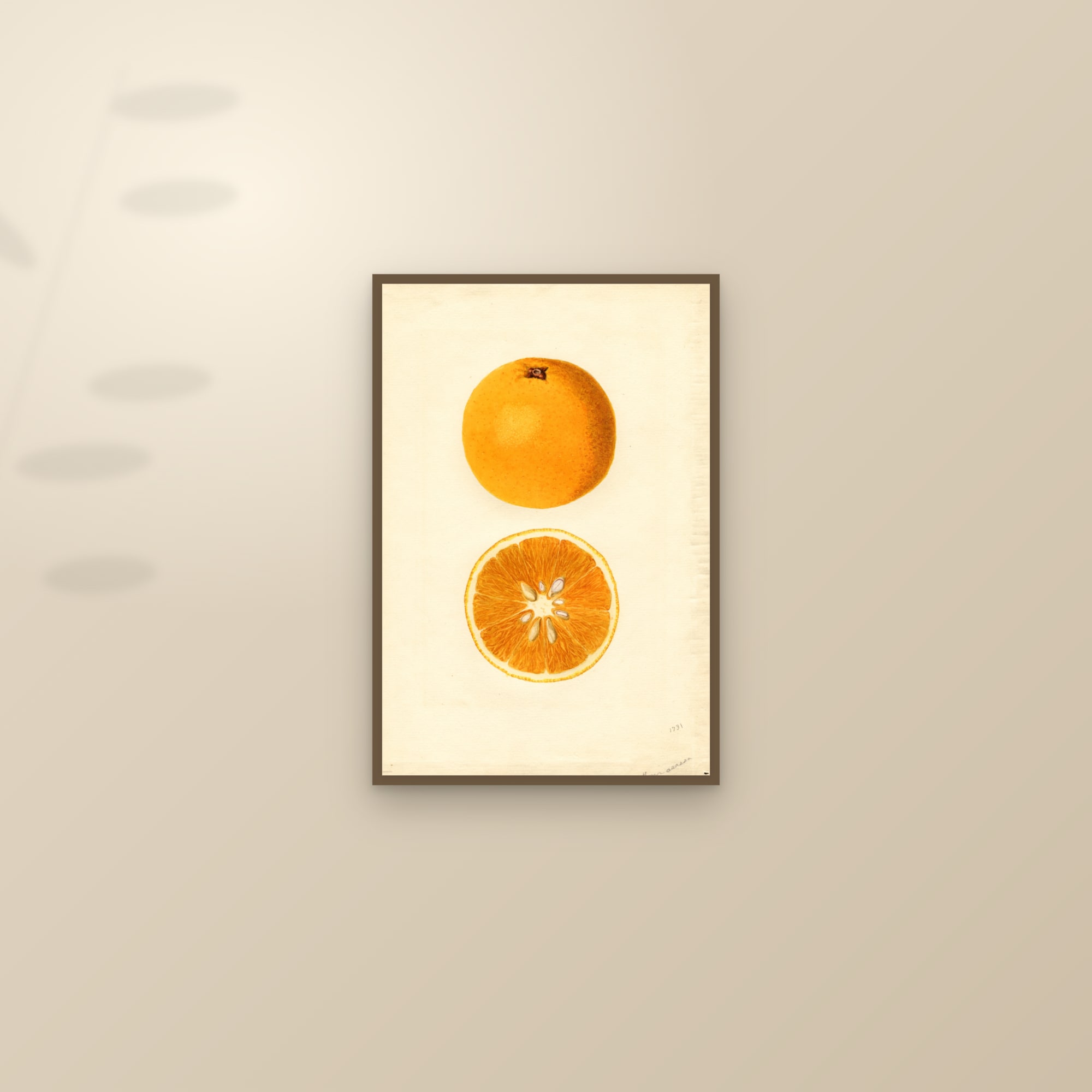 Homosassa Orange — framed and styled on a sunlit wall