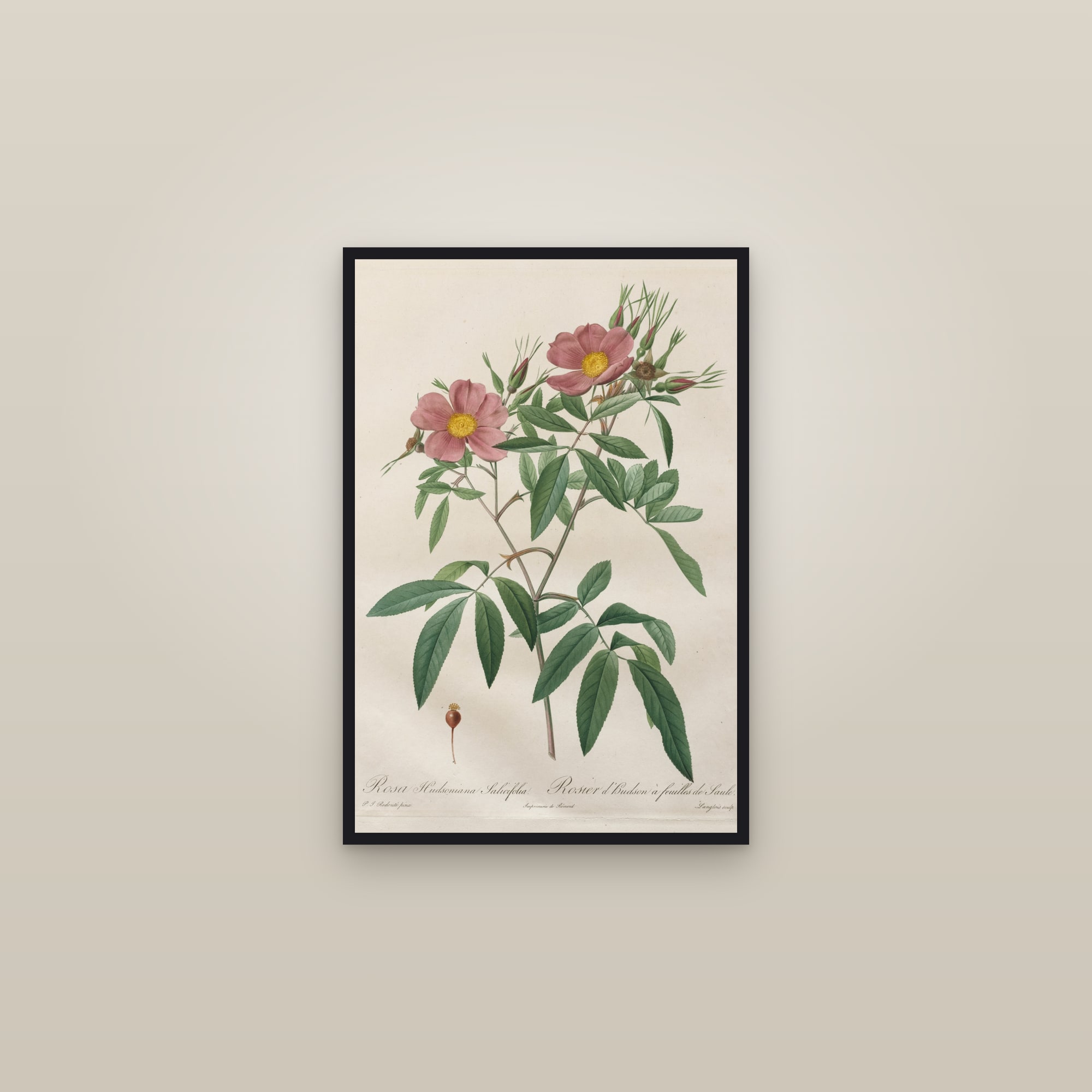 Hudson Rose — framed in a gallery setting