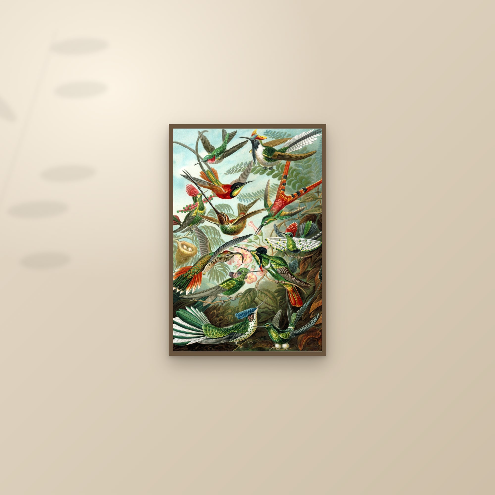 Framed vintage hummingbirds print on a sunlit wall