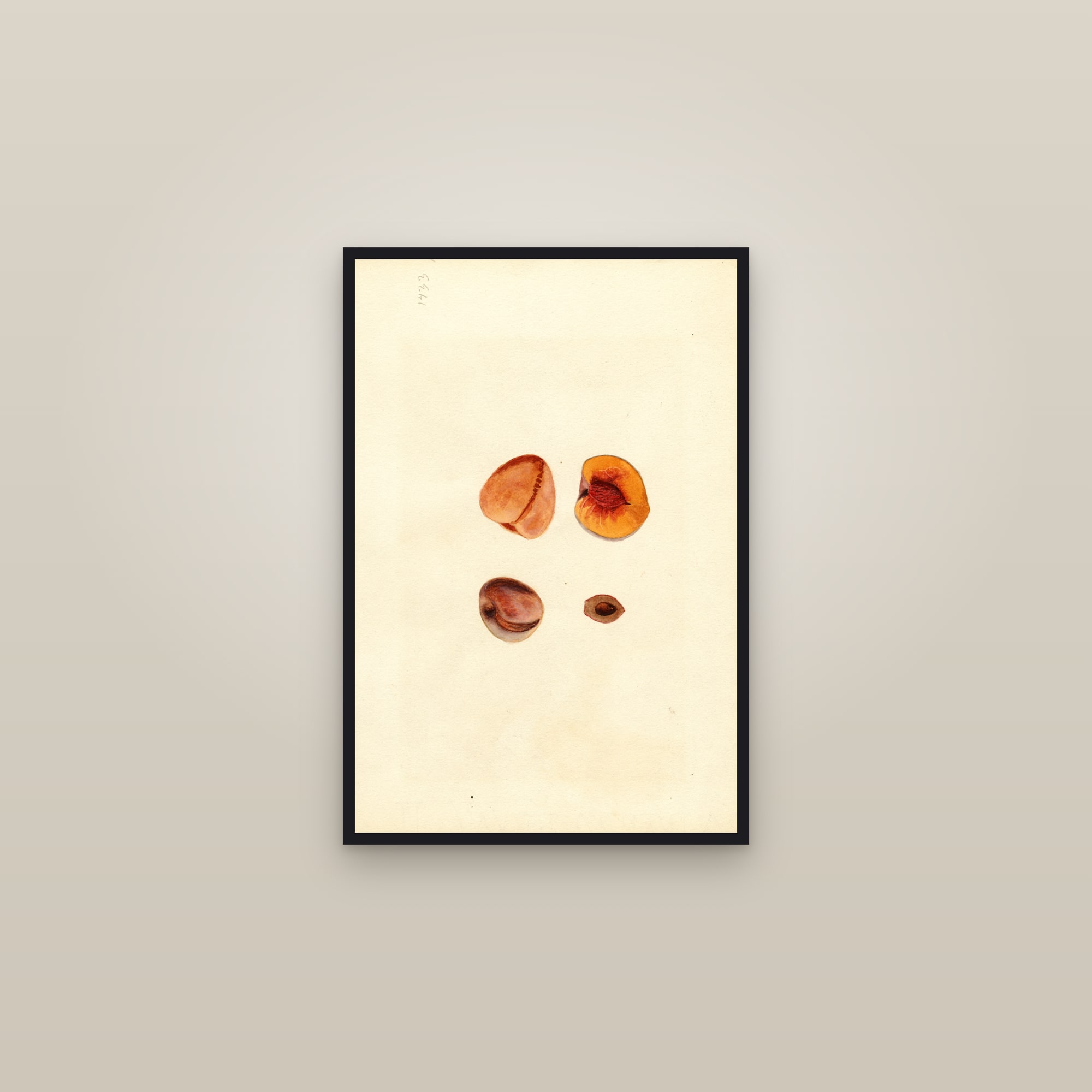 Hutchkins Peach — framed in a gallery setting