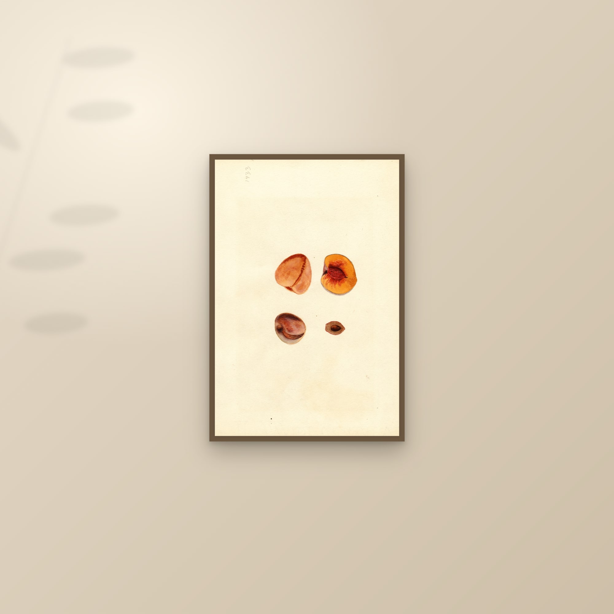 Hutchkins Peach — framed and styled on a sunlit wall