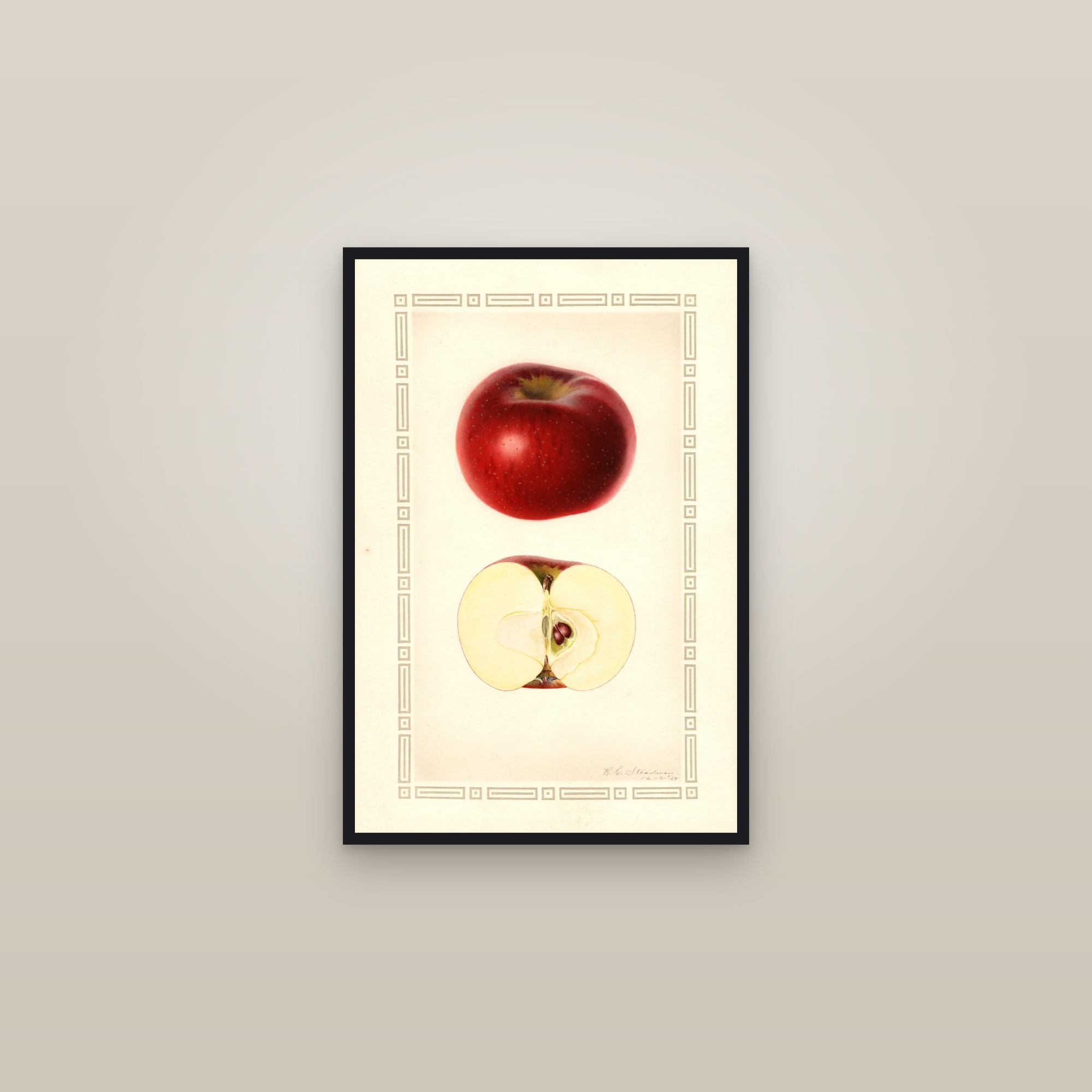 Indian Favorite Apple — framed in a gallery setting