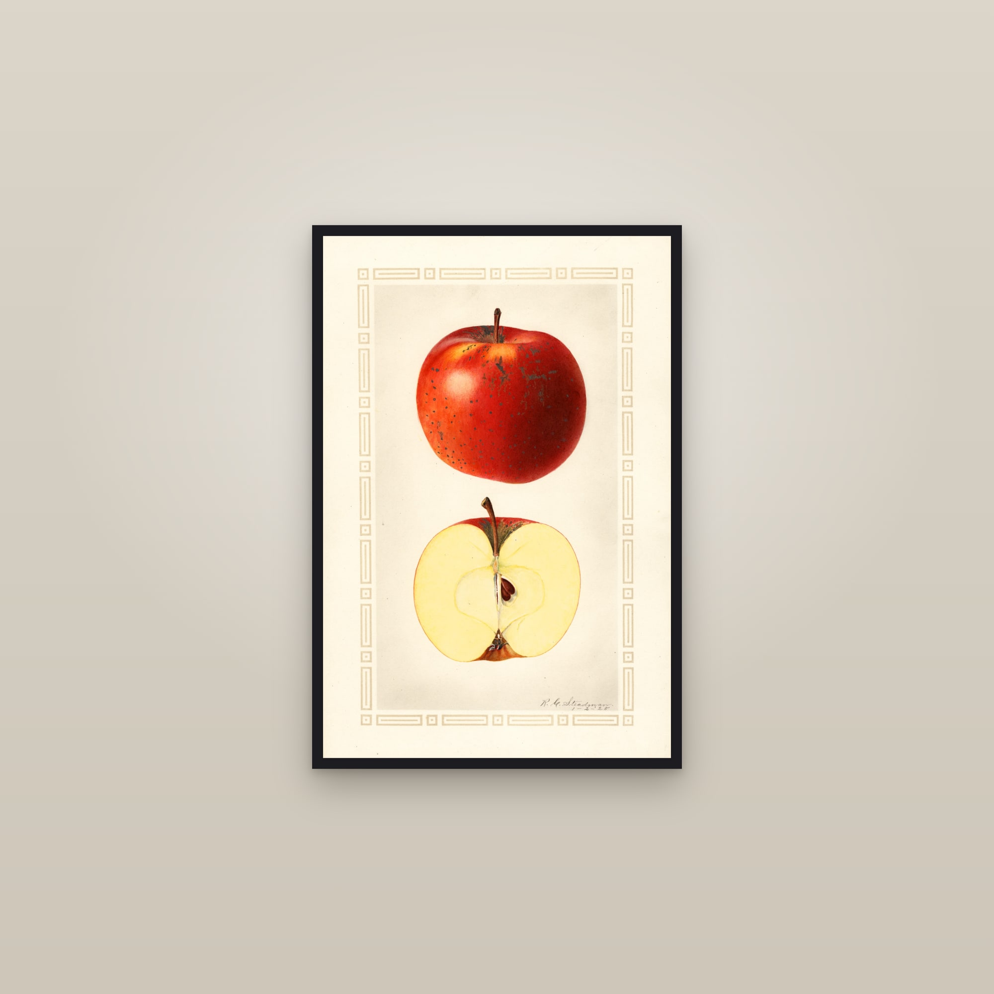 Indiana Favorite Apple — framed in a gallery setting