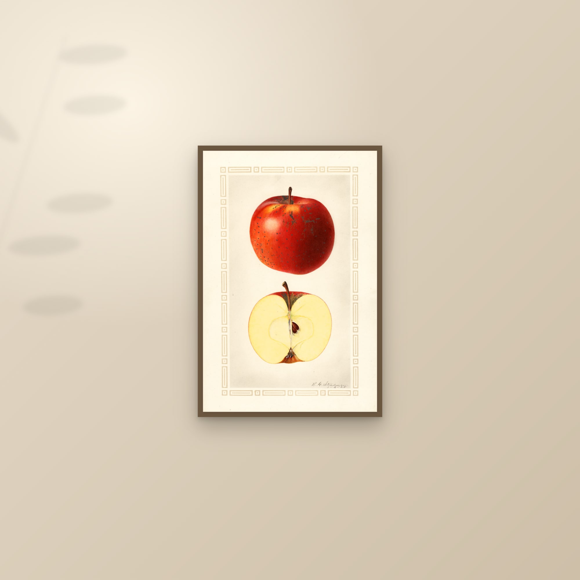 Indiana Favorite Apple — framed and styled on a sunlit wall
