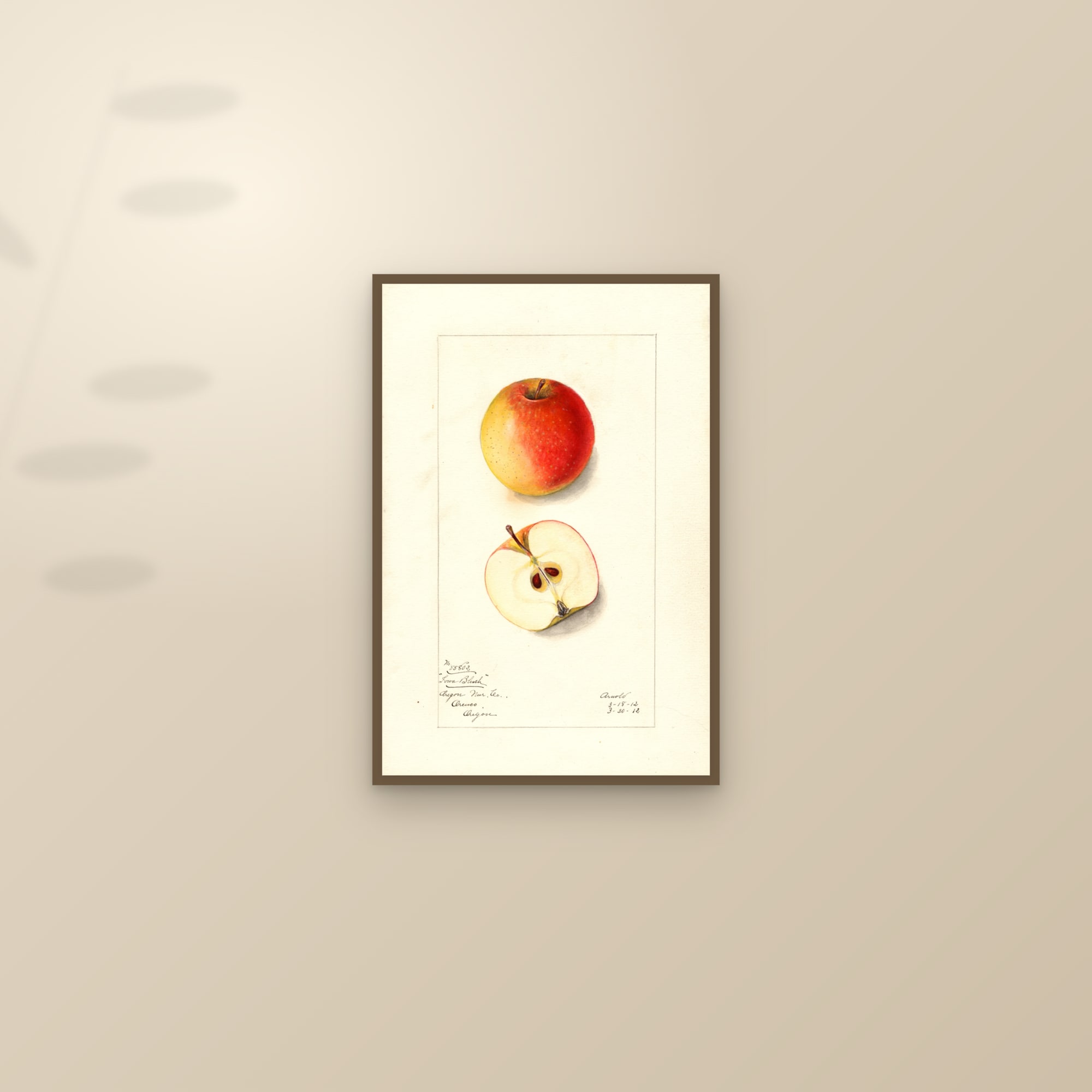 Iowa Blush Apple — framed and styled on a sunlit wall