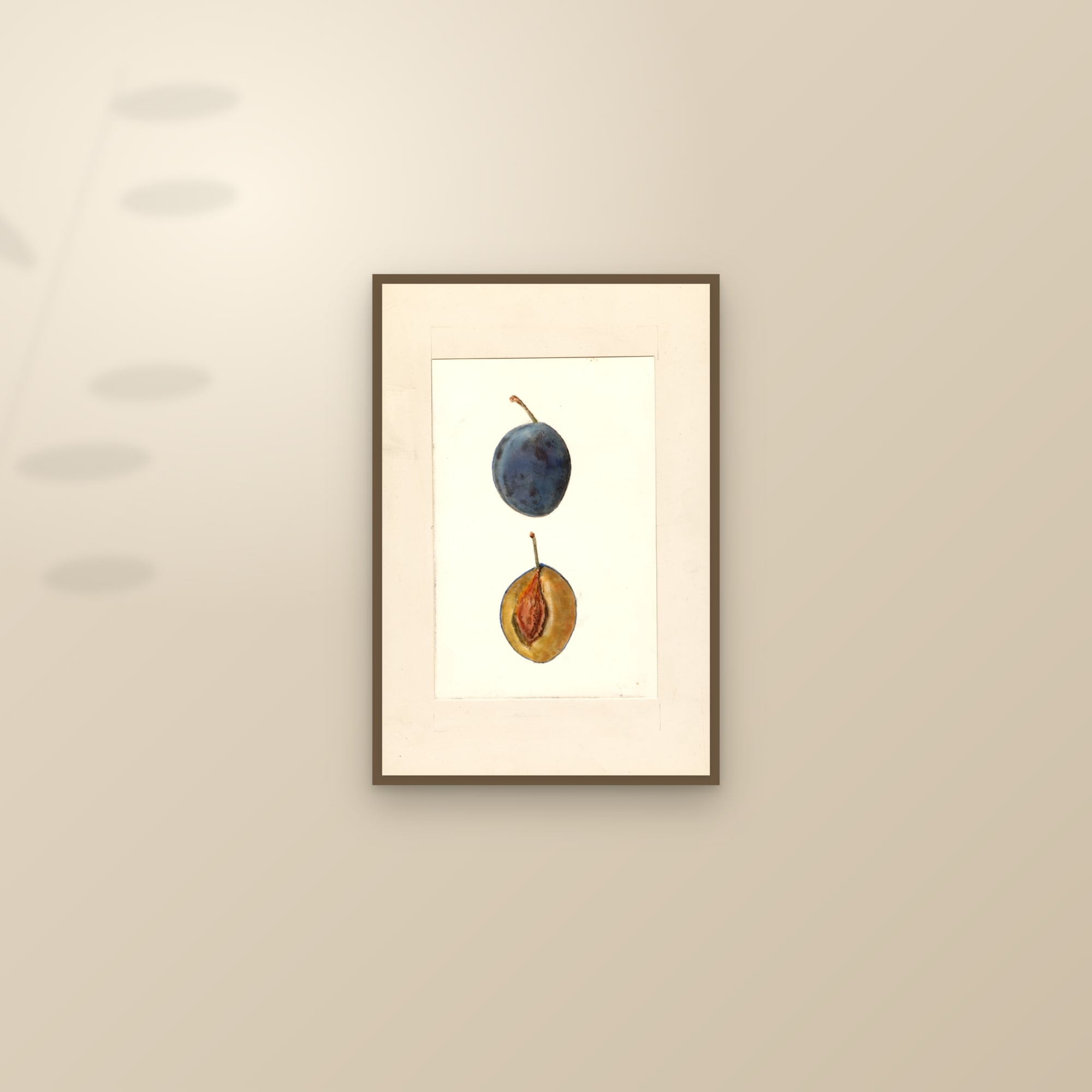 Italian Prune Plum — framed and styled on a sunlit wall