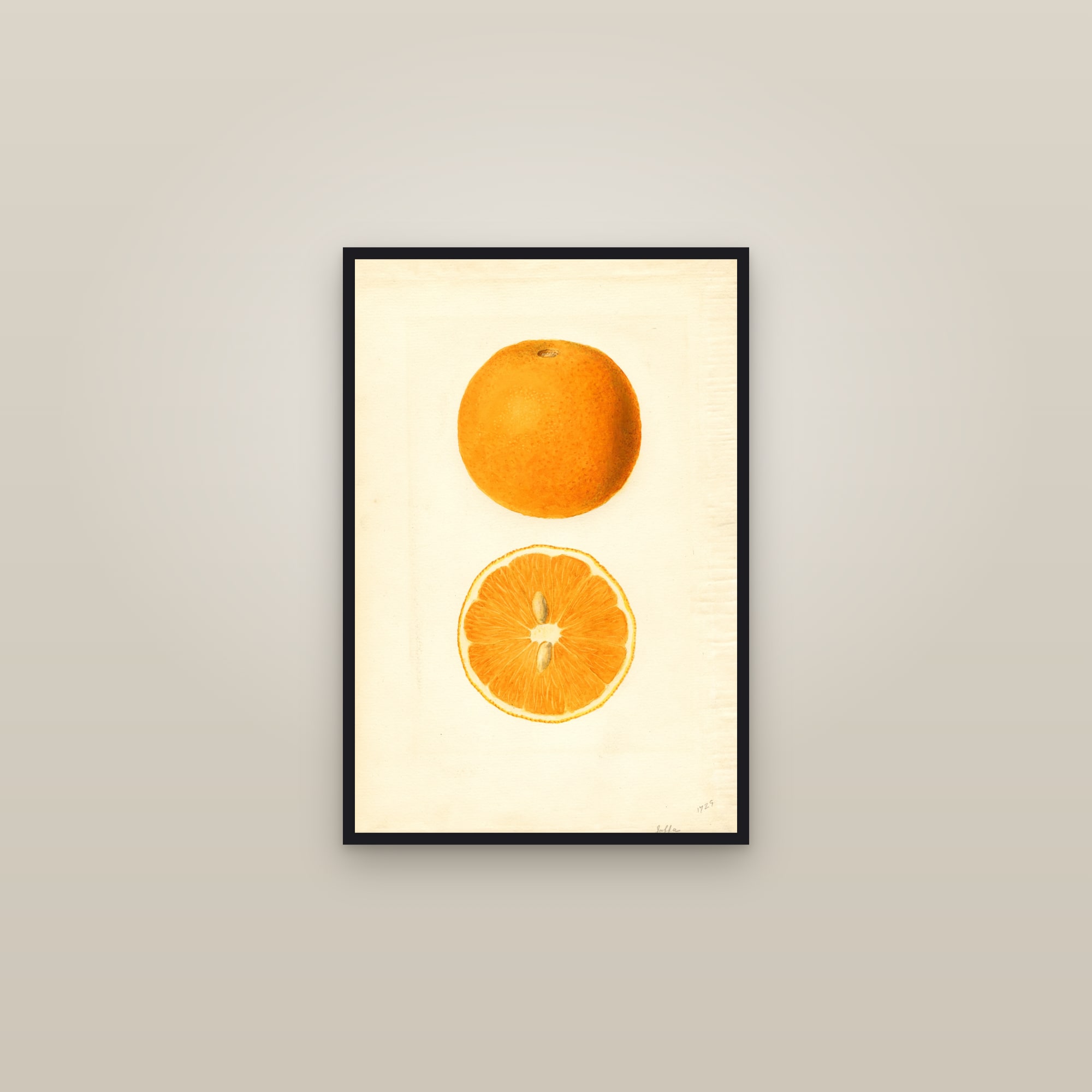 Jaffa Orange — framed in a gallery setting