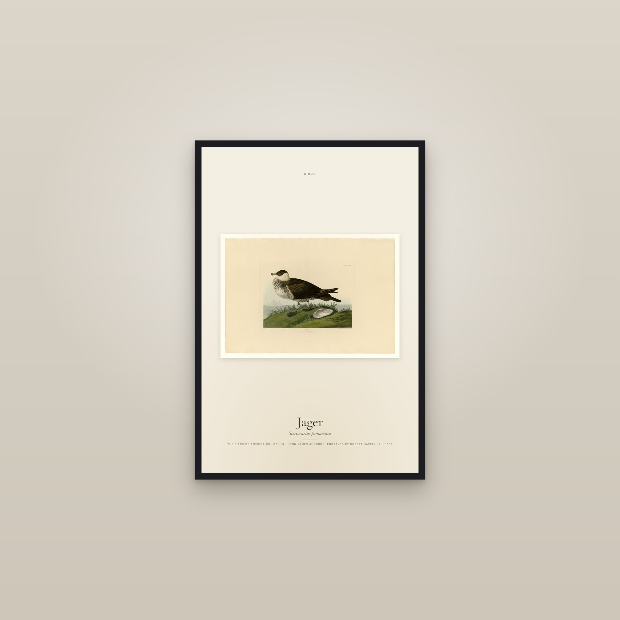 Jager — framed in a gallery setting