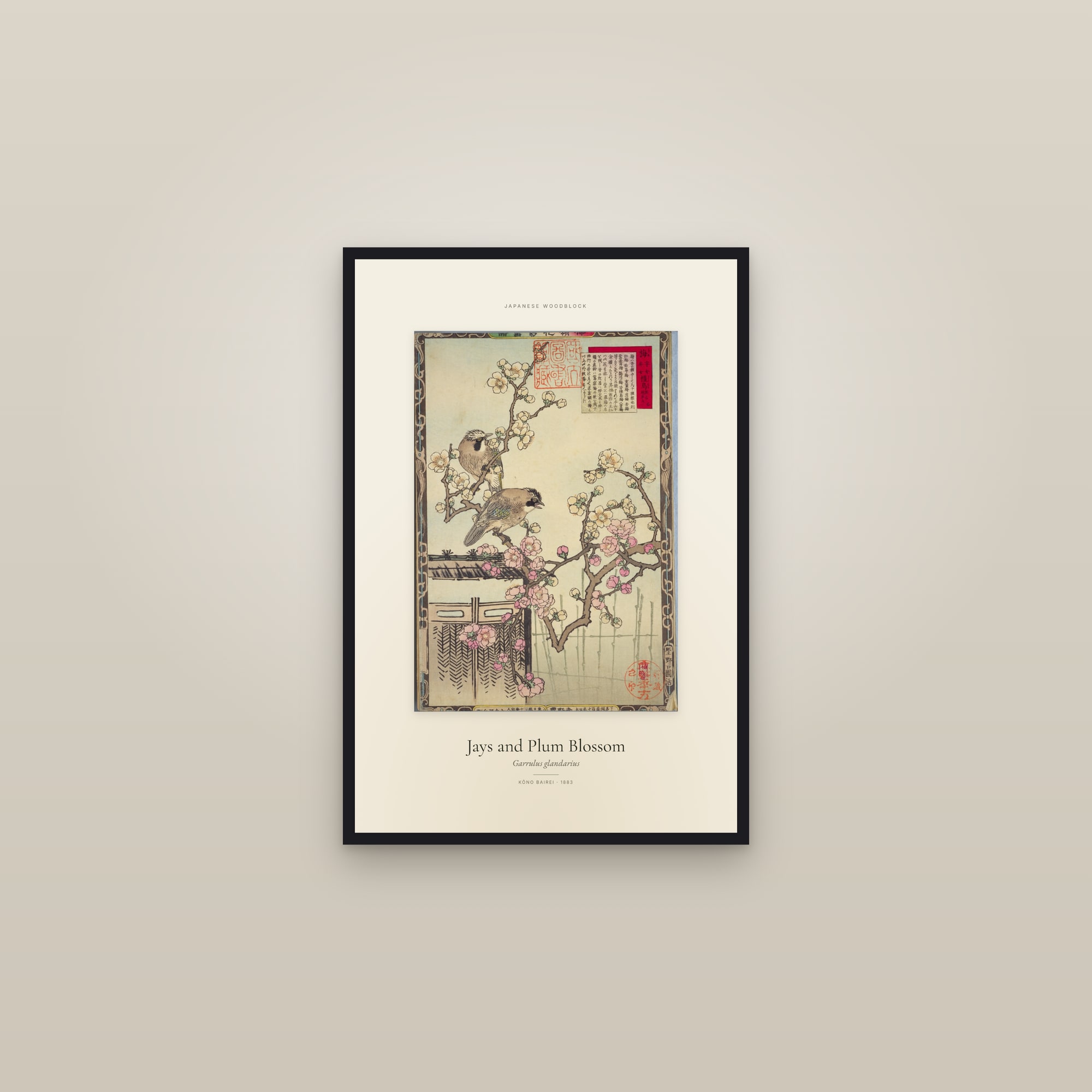 Jays and Plum Blossom — Specimen