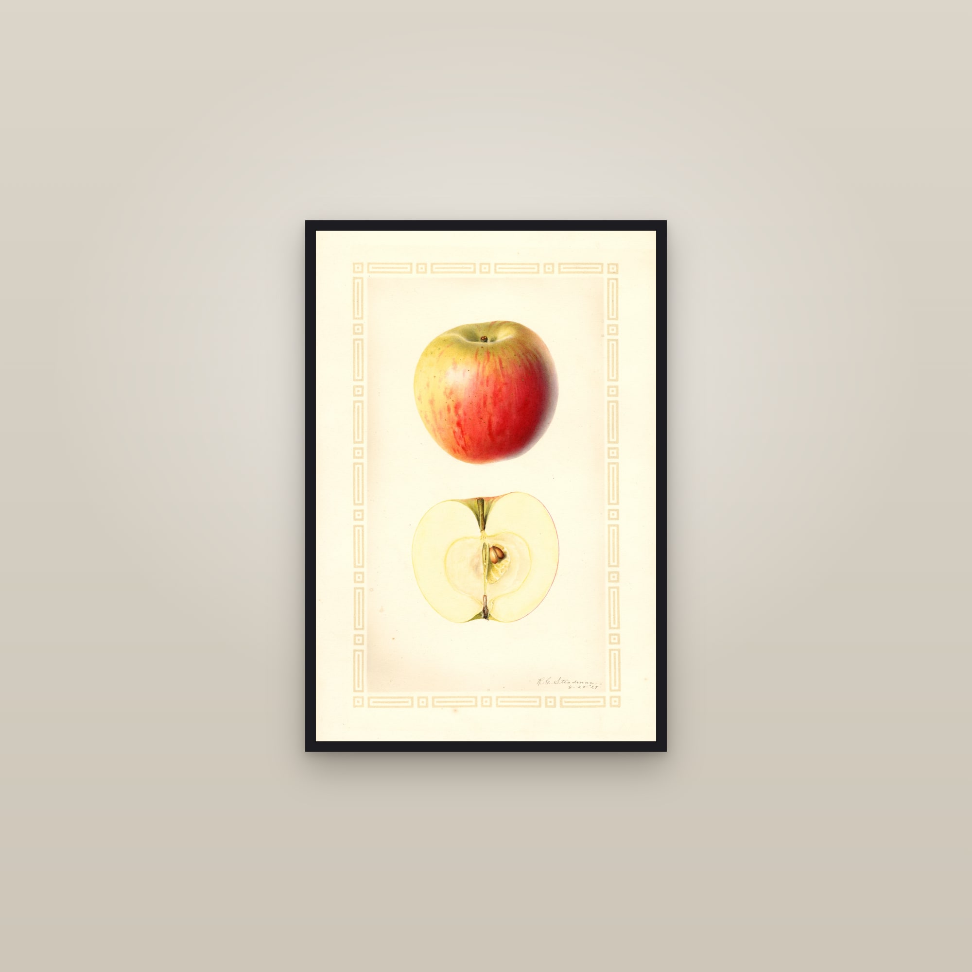 Jersey Sweet Apple — framed in a gallery setting