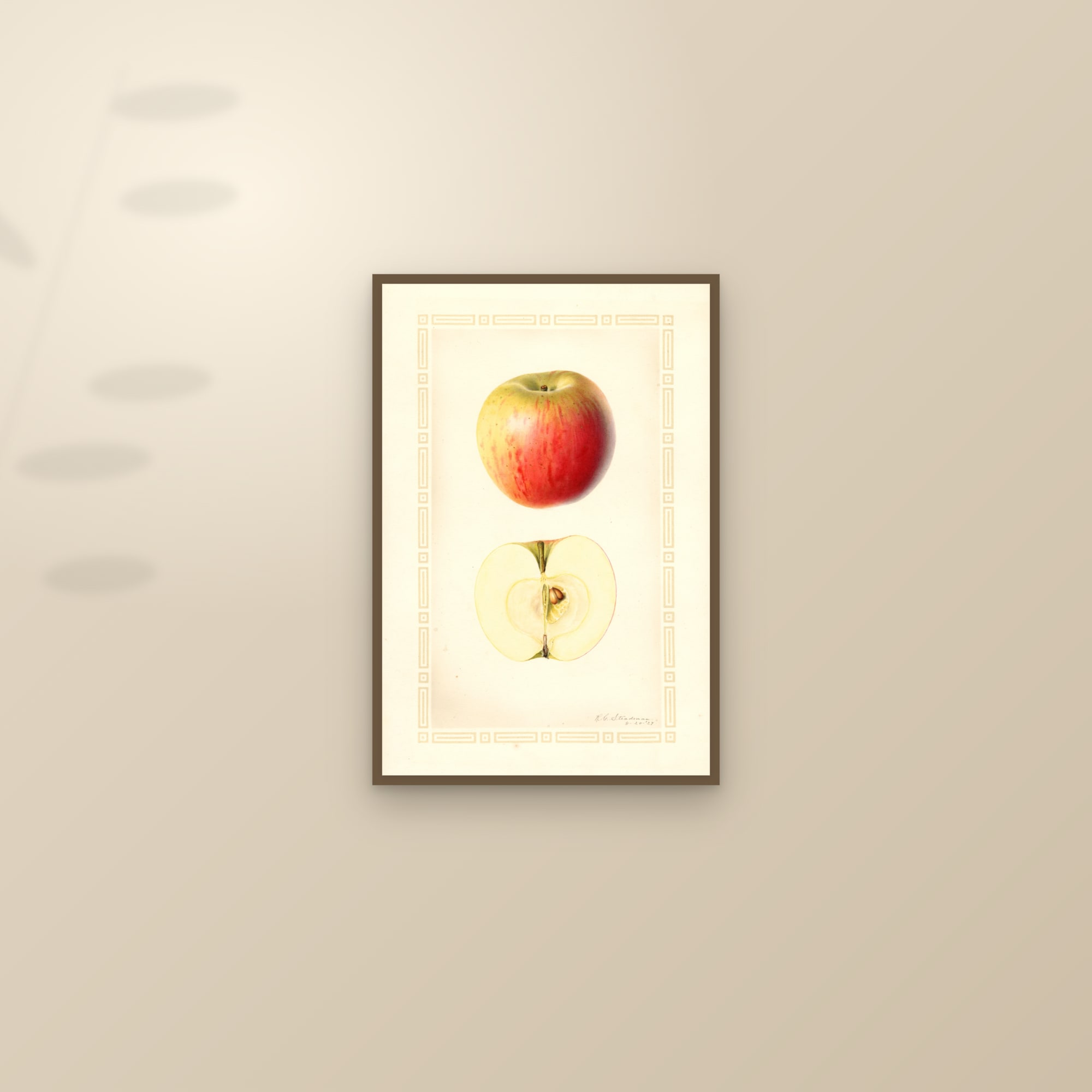 Jersey Sweet Apple — framed and styled on a sunlit wall