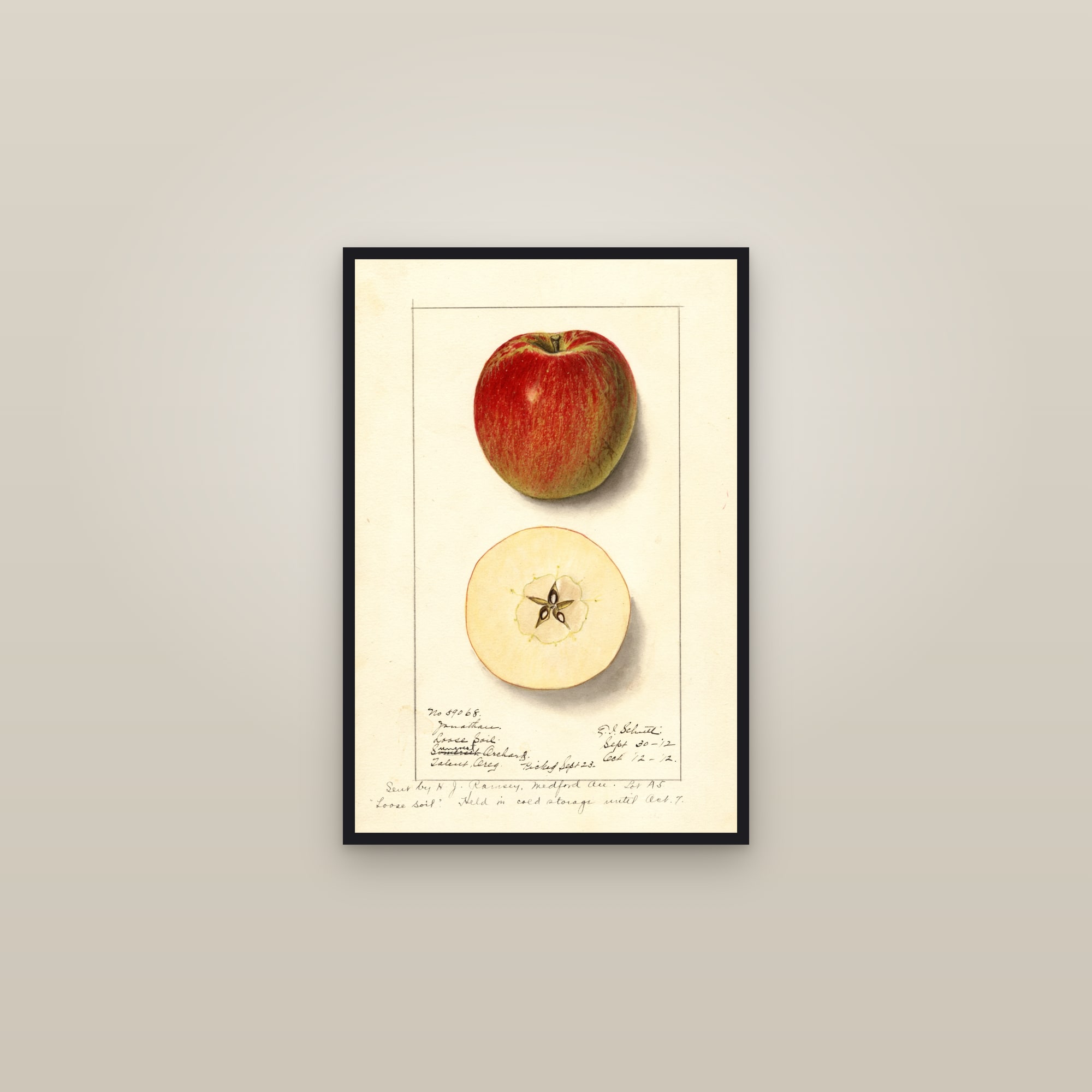 Jonathan Apple — framed in a gallery setting