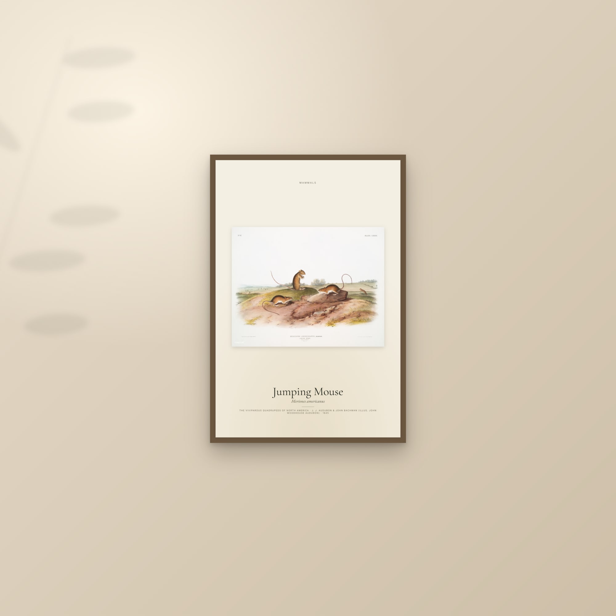 Jumping Mouse — framed and styled on a sunlit wall