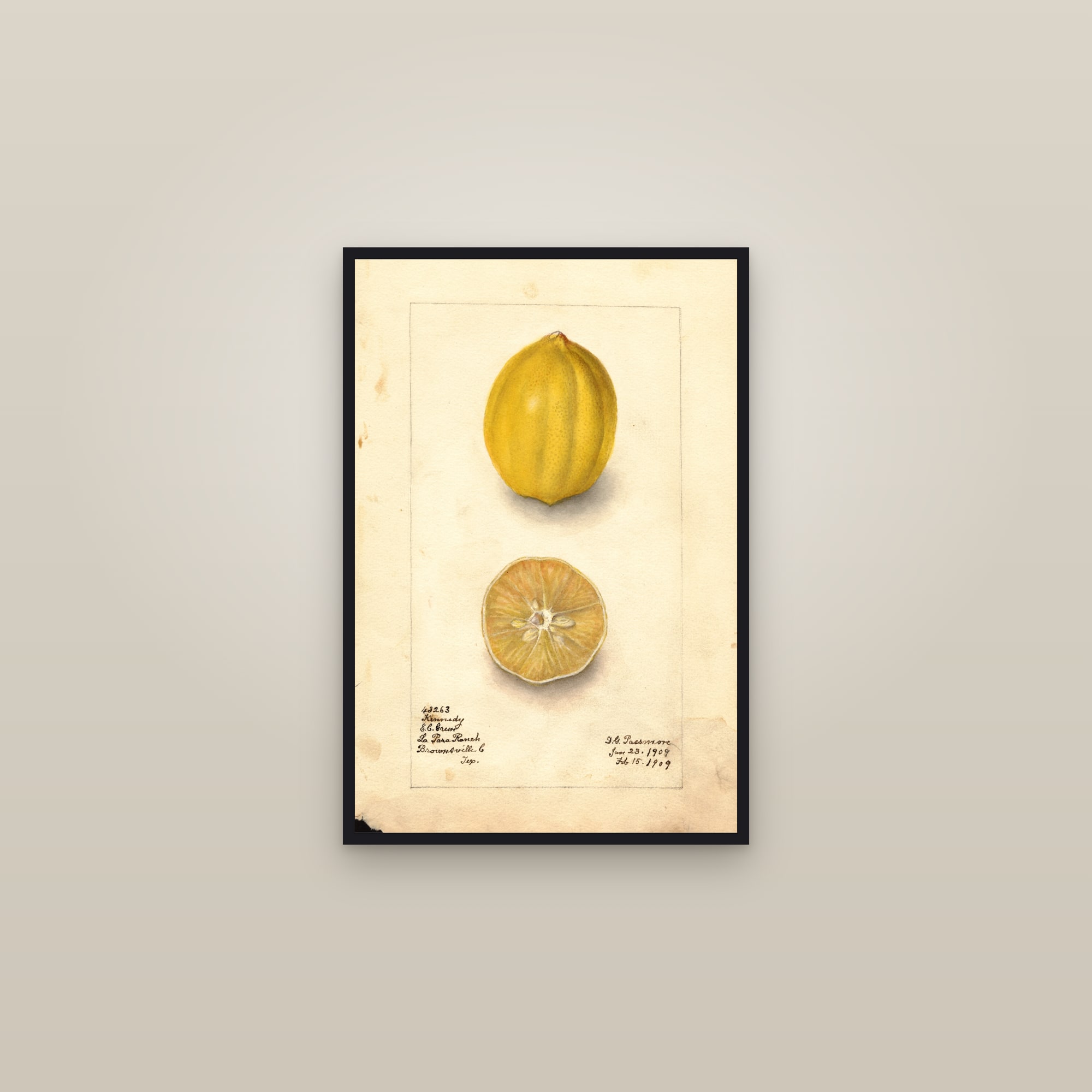 Kennedy Lemon — framed in a gallery setting