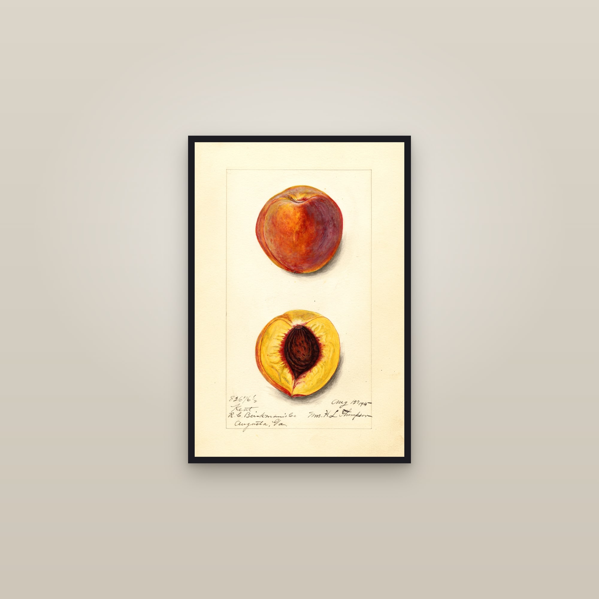 Kent Peach — framed in a gallery setting