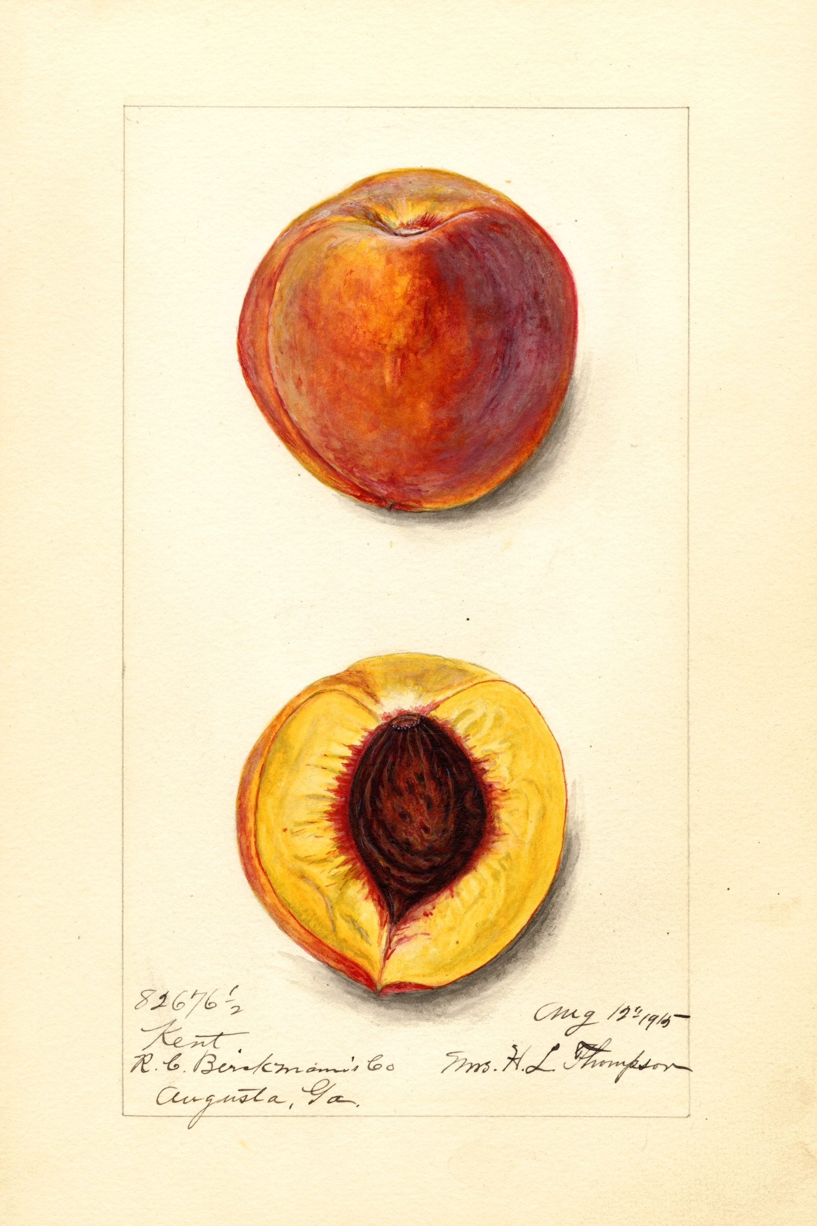Kent Peach
