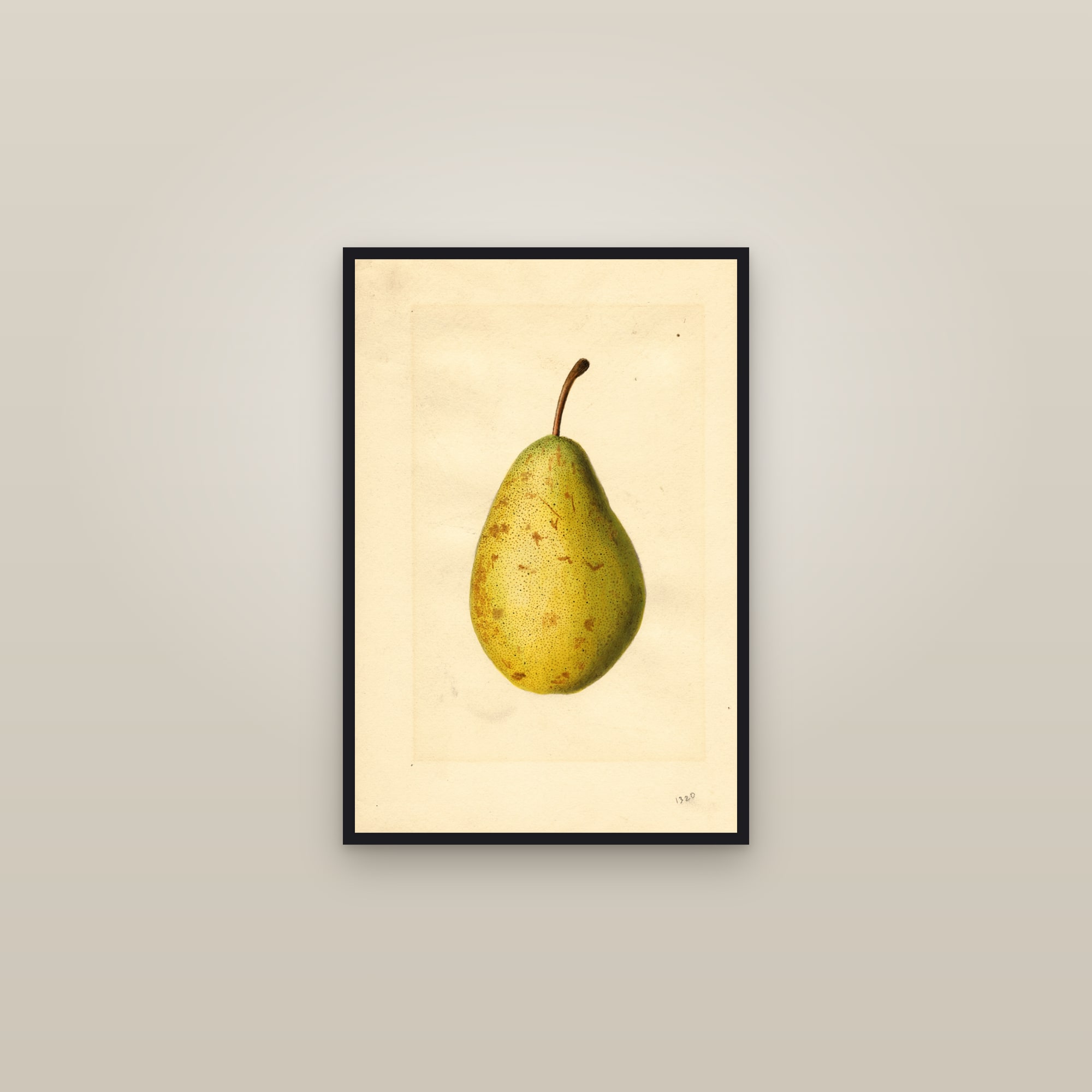 Kieffer Cross Pear — framed in a gallery setting