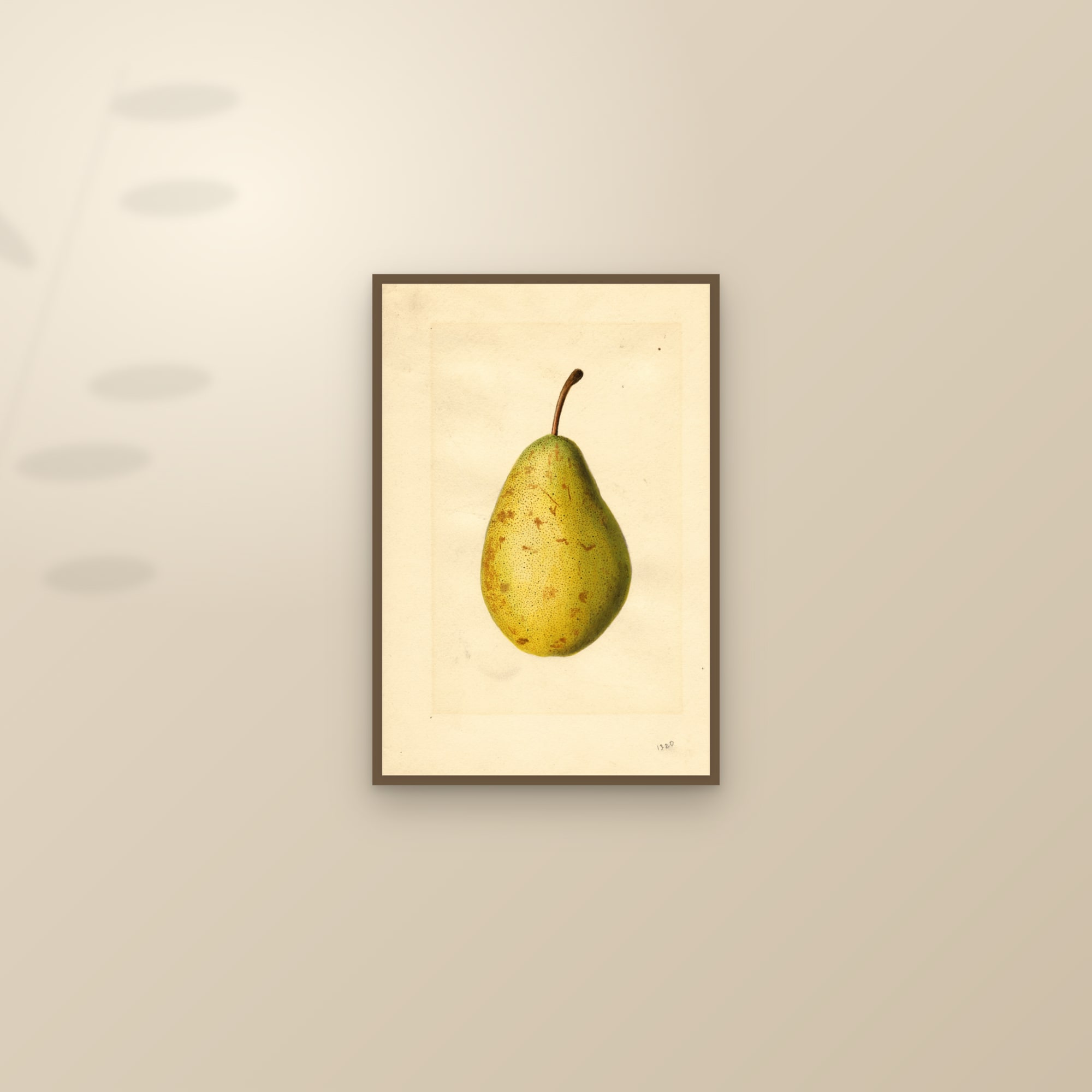 Kieffer Cross Pear — framed and styled on a sunlit wall