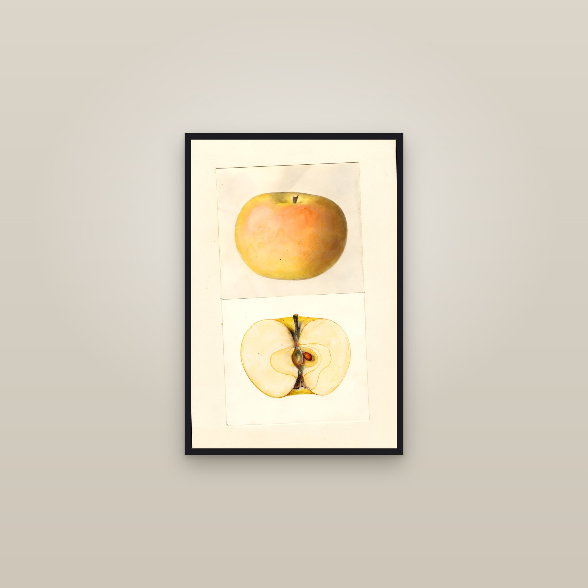 Landakergska Apple — framed in a gallery setting