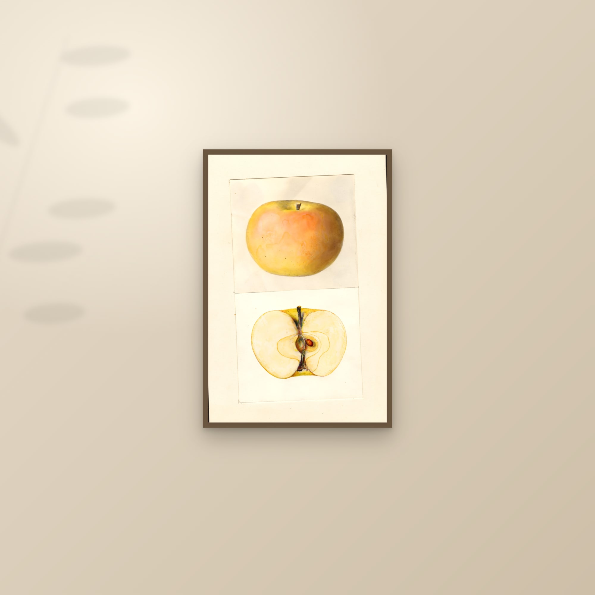 Landakergska Apple — framed and styled on a sunlit wall