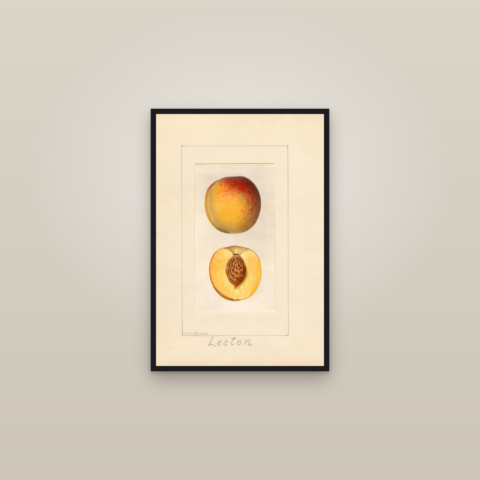 Leeton Peach — framed in a gallery setting