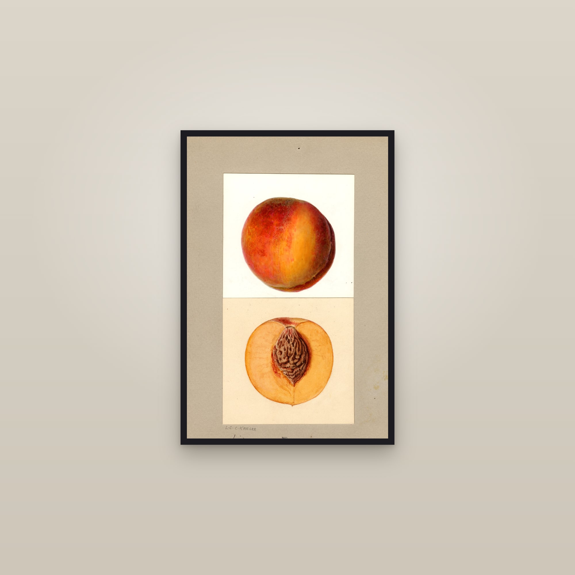 Libbee X Foster Peach — framed in a gallery setting