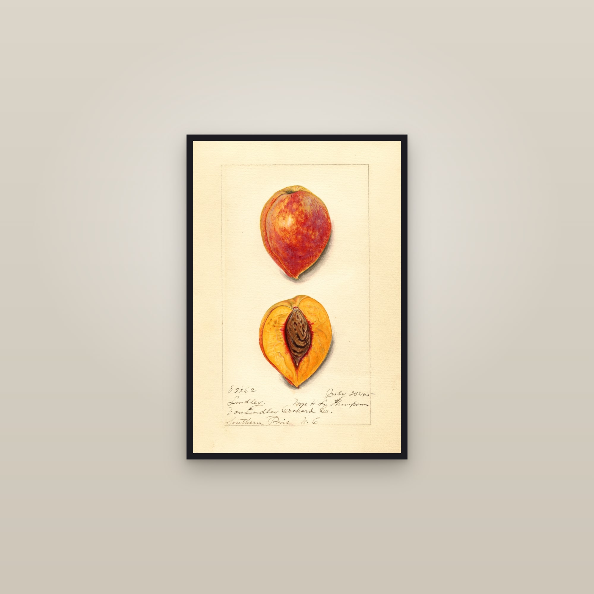 Lindley Peach — framed in a gallery setting