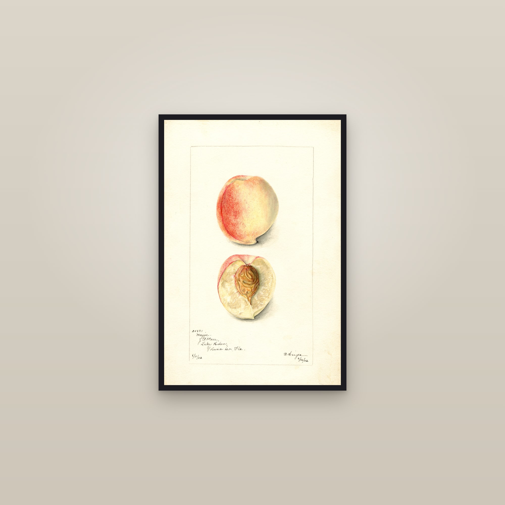 Maggie Peach — framed in a gallery setting