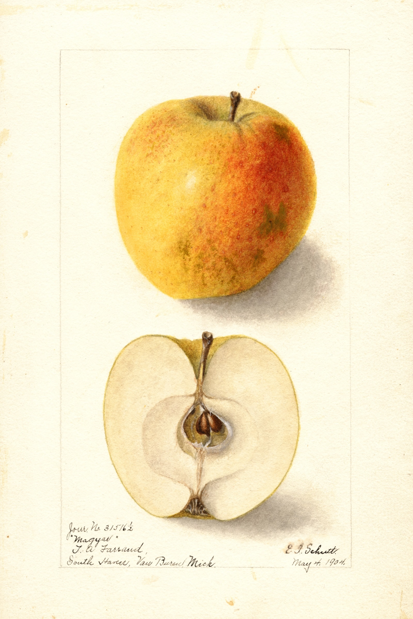 Magyar Apple