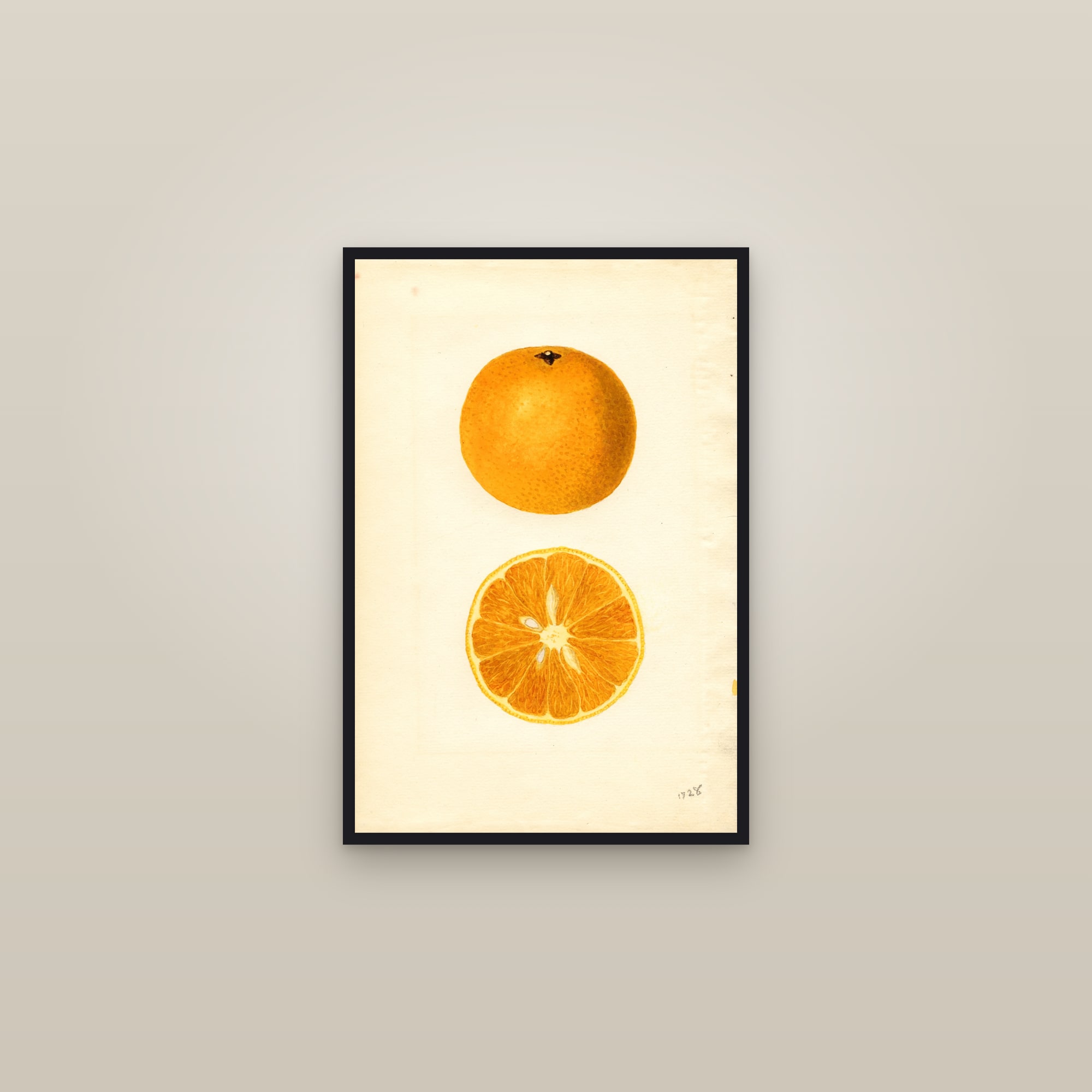 Majorca Orange — framed in a gallery setting