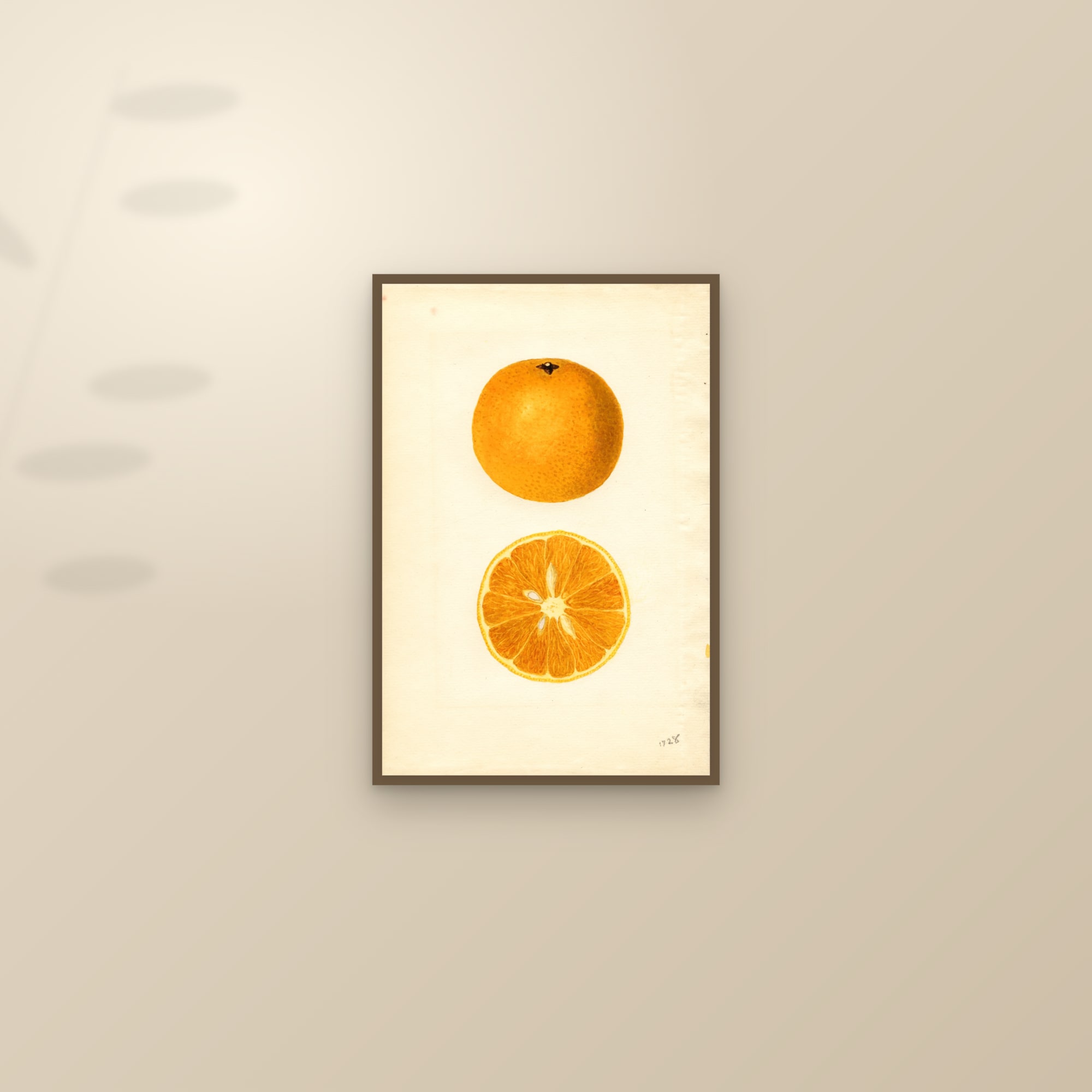 Majorca Orange — framed and styled on a sunlit wall