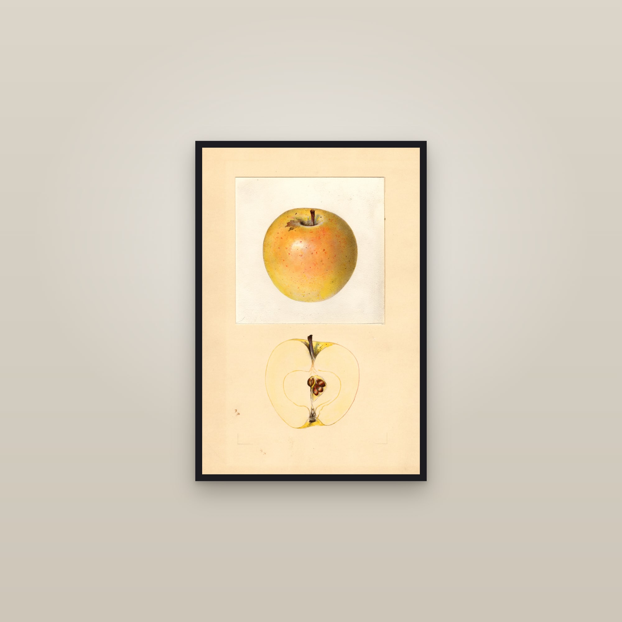 Malinda Apple — framed in a gallery setting