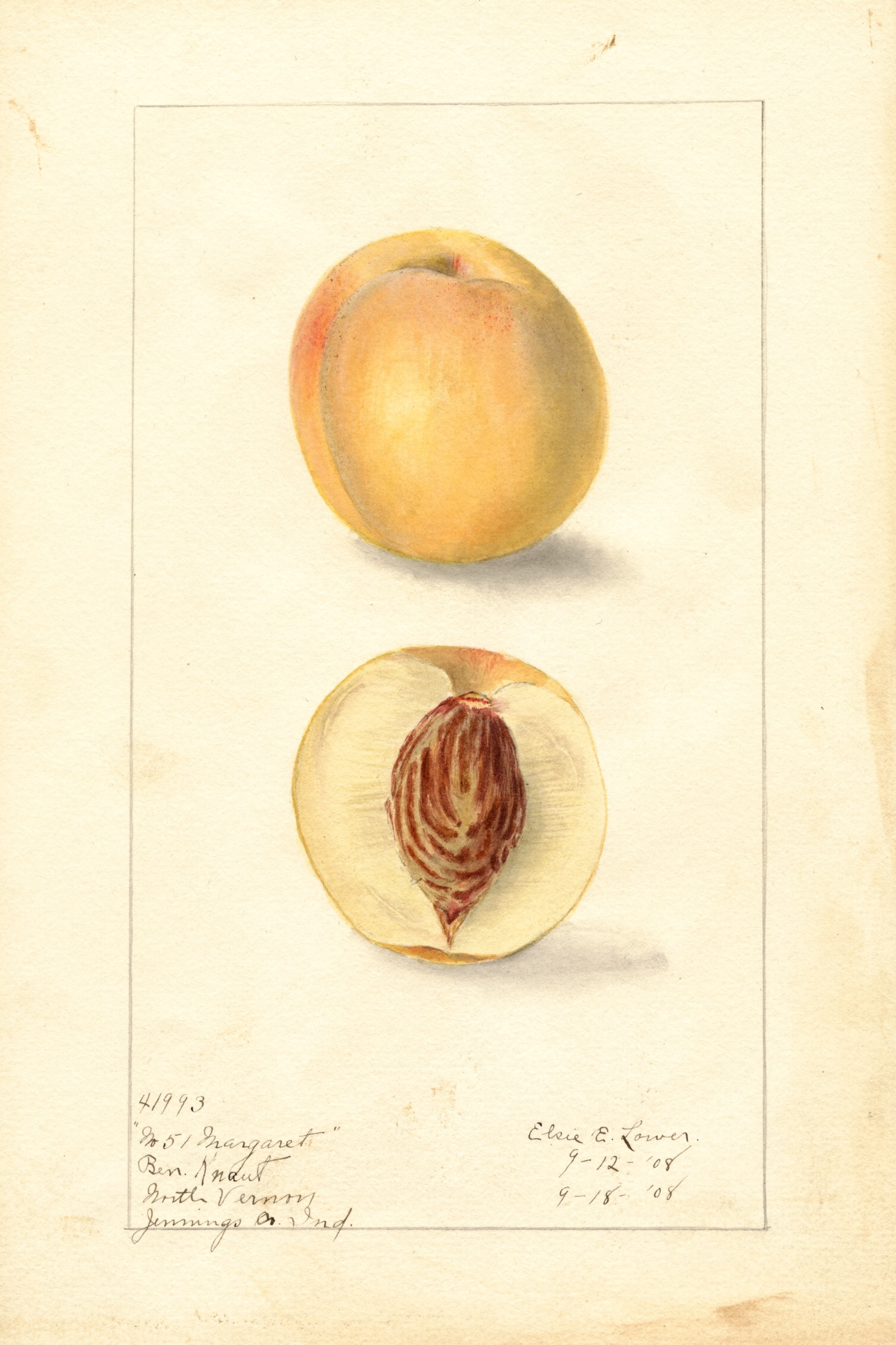 Margaret Peach