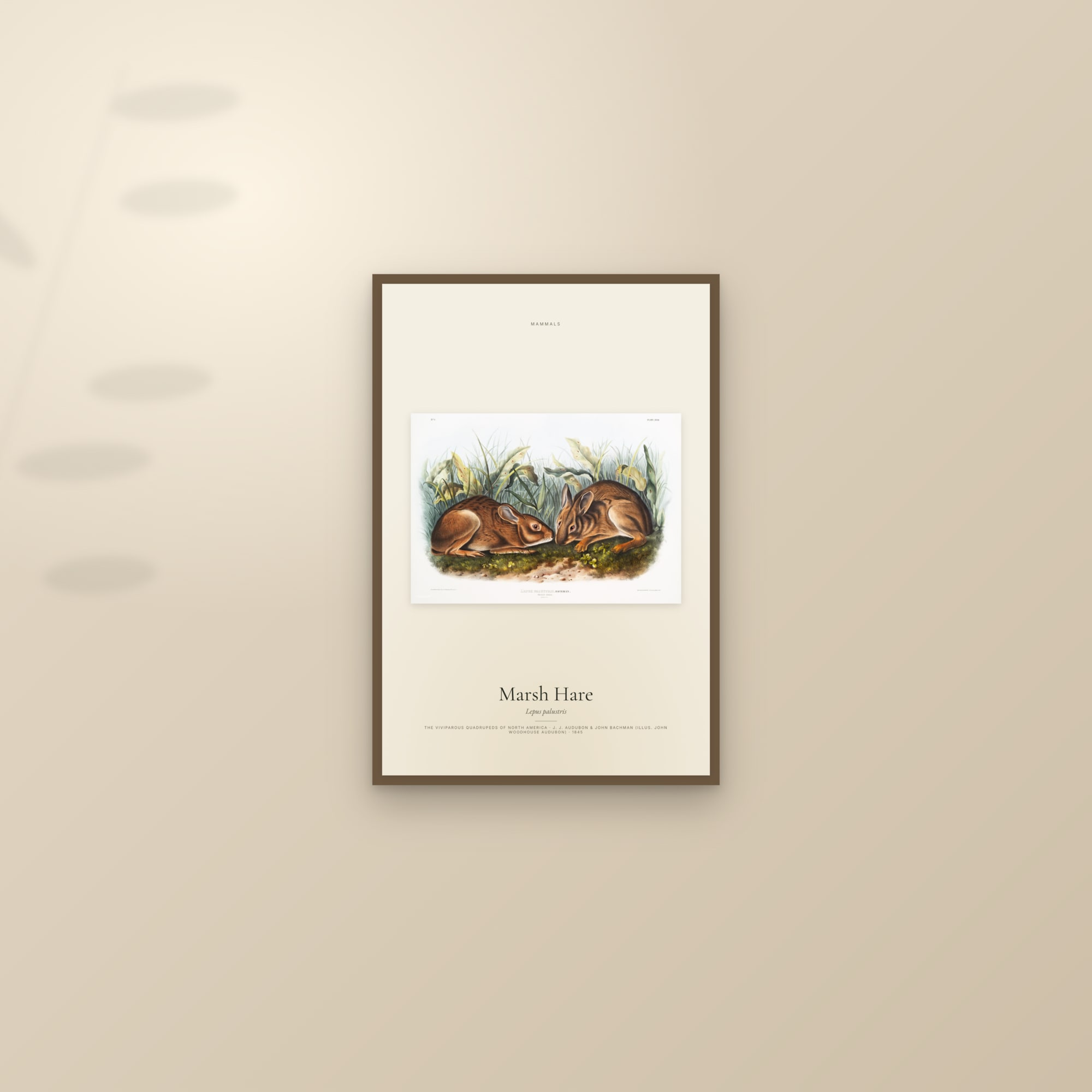 Marsh Hare — framed and styled on a sunlit wall