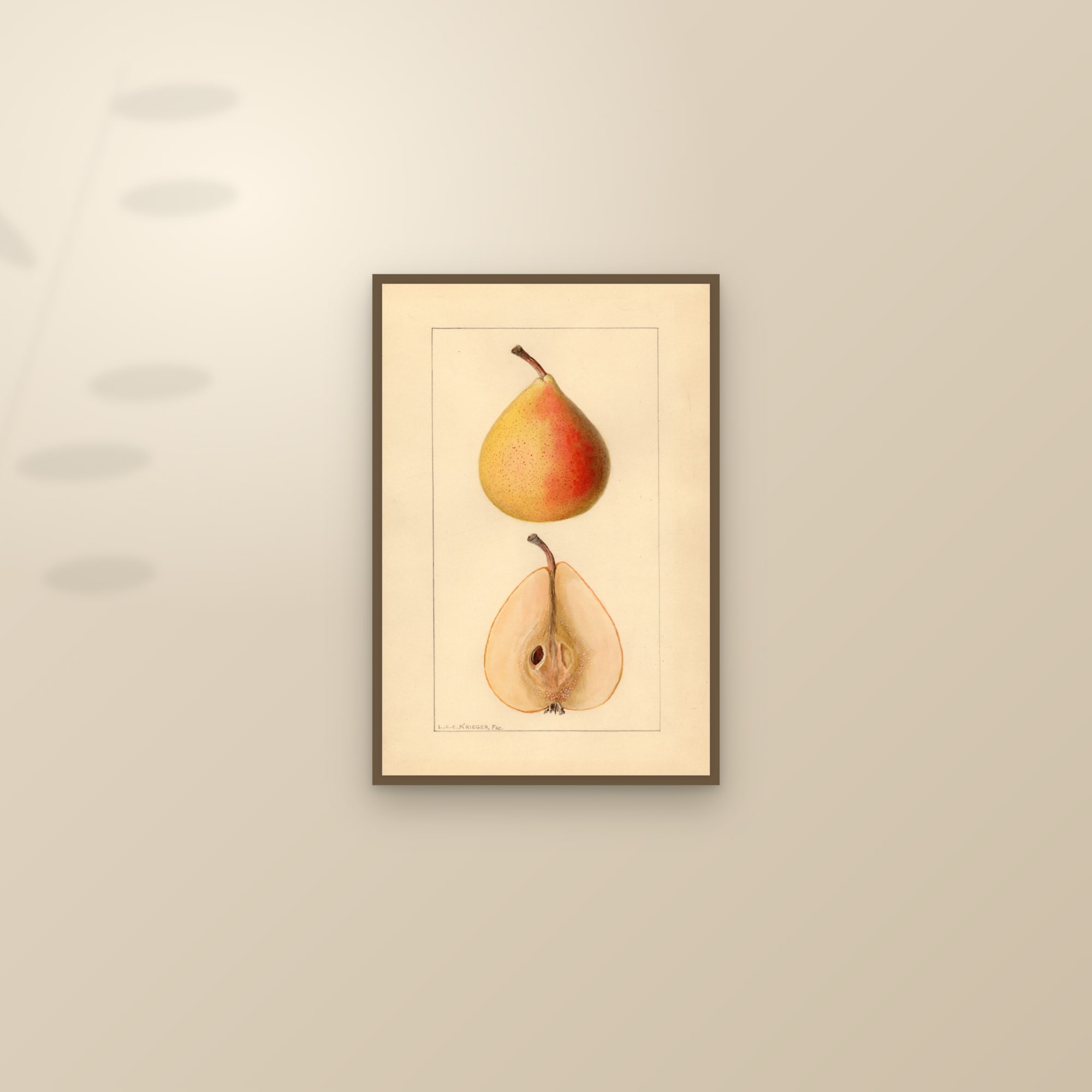 Michigan U.S. 504 Pear — framed and styled on a sunlit wall