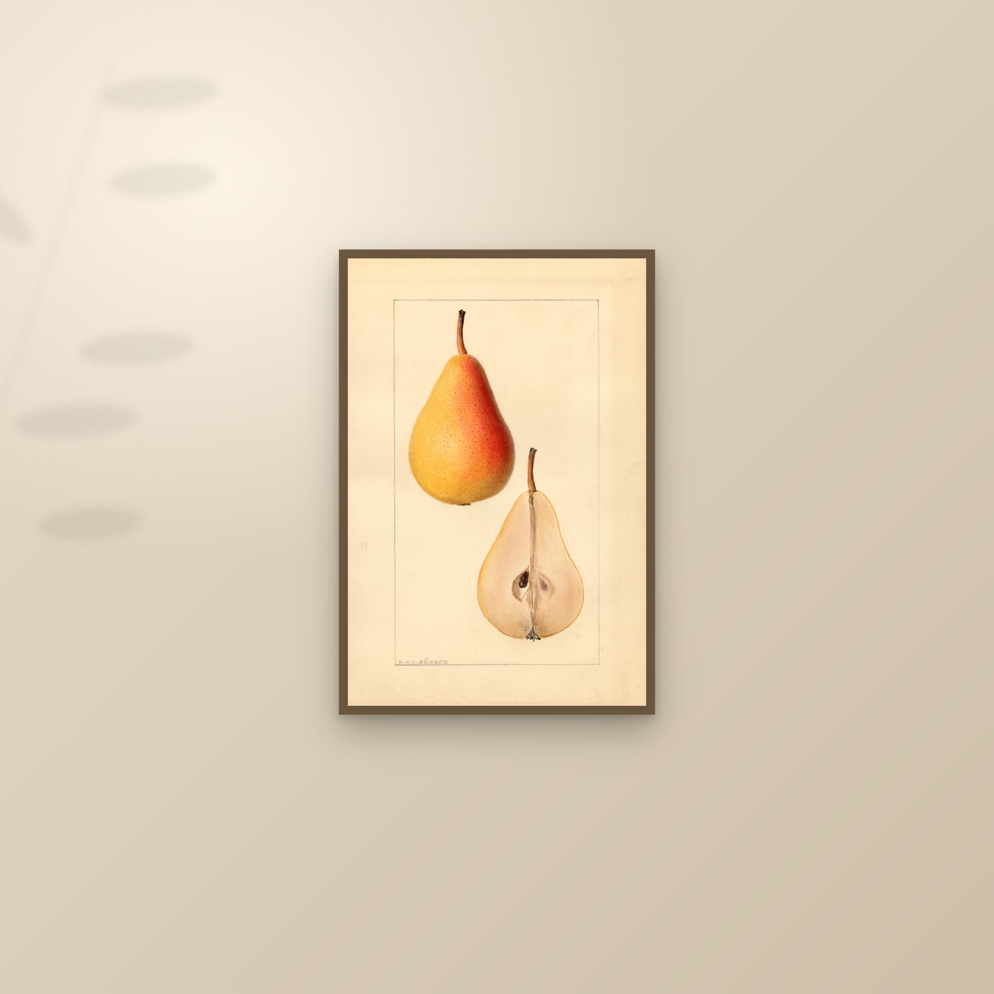 Michigan U.S. 550 Pear — framed and styled on a sunlit wall