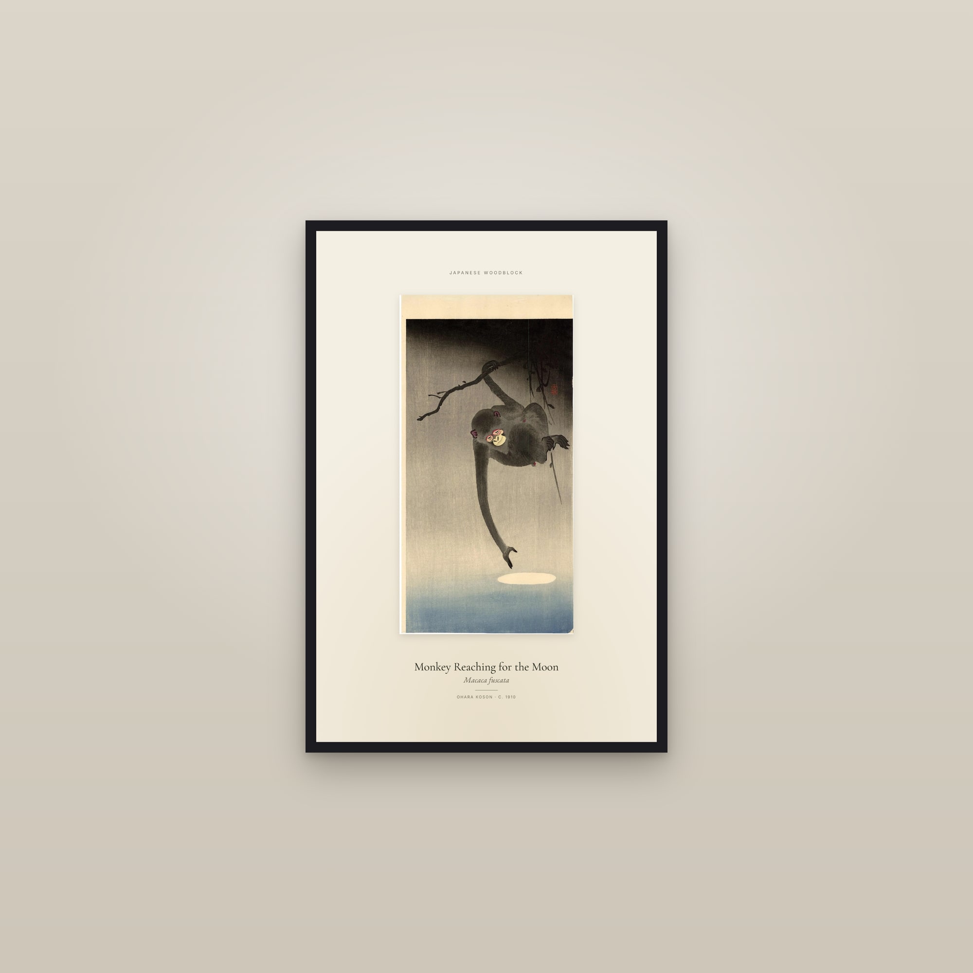 Monkey Reaching for the Moon — Specimen