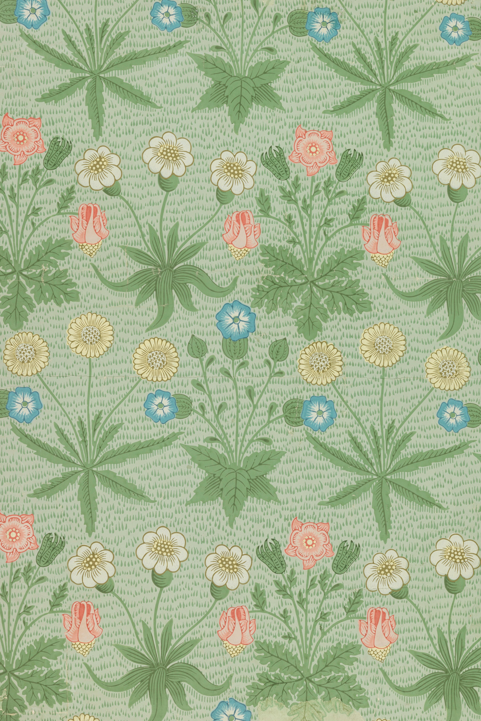 Daisy (Green)