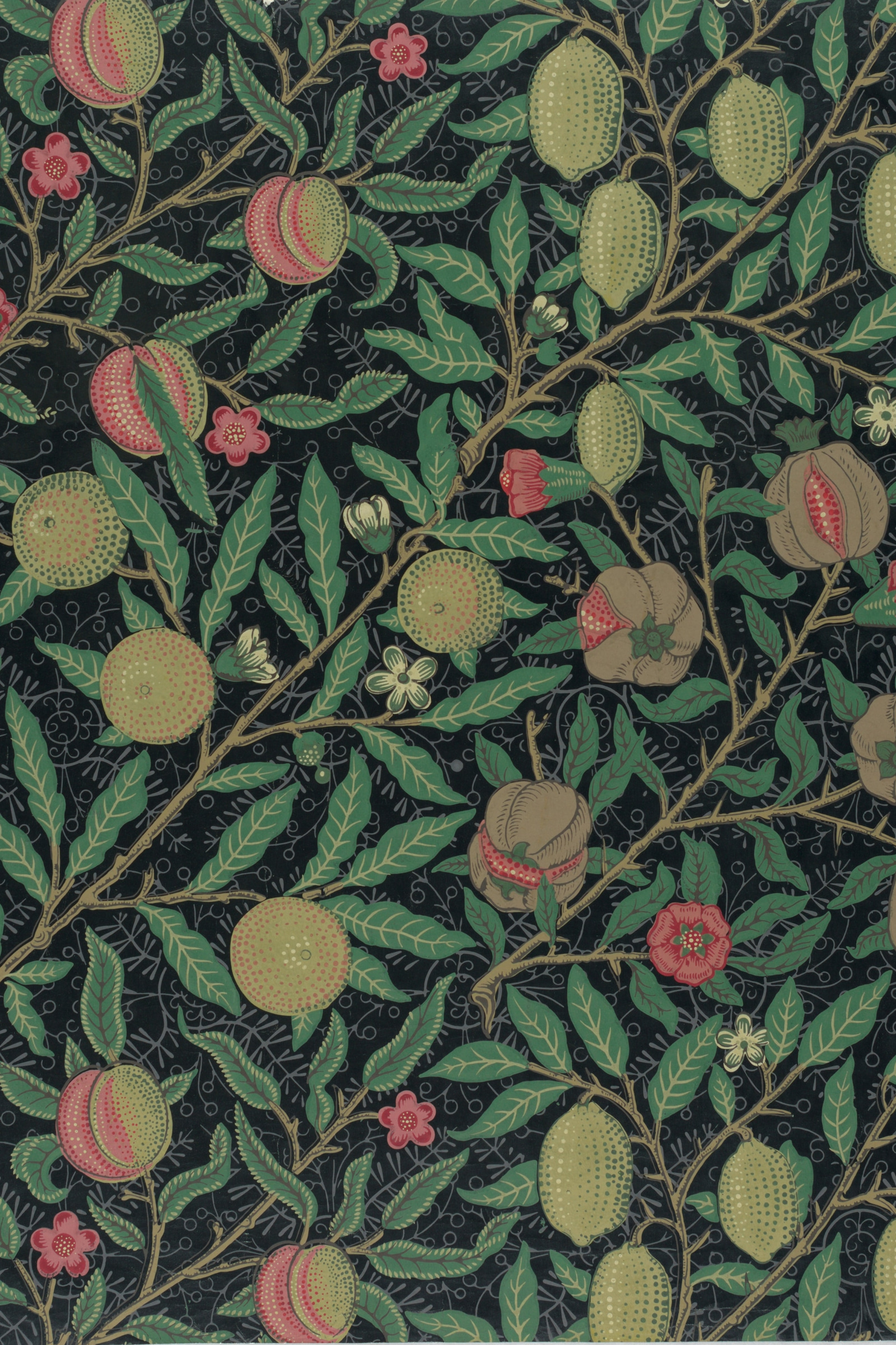 Fruit (Black)