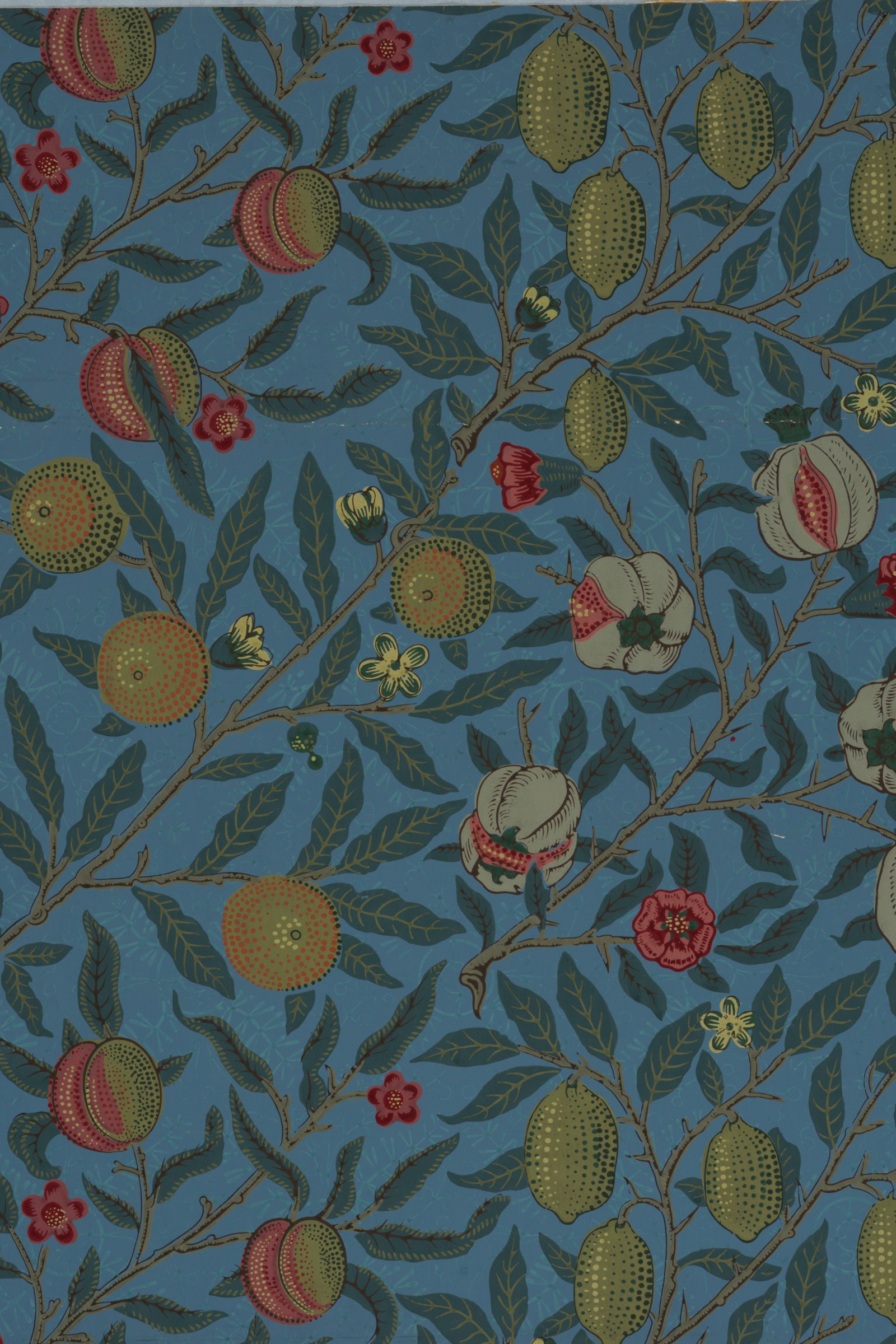 Fruit (Blue)
