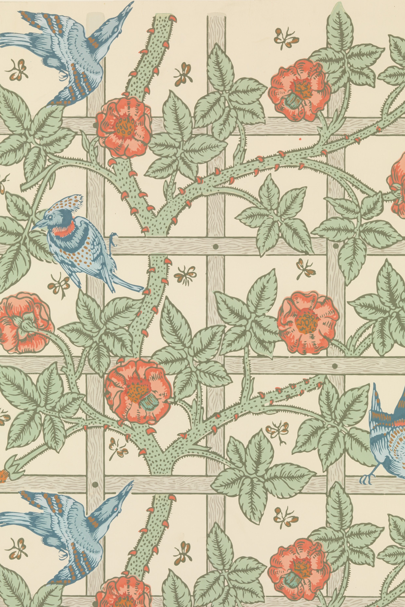Trellis