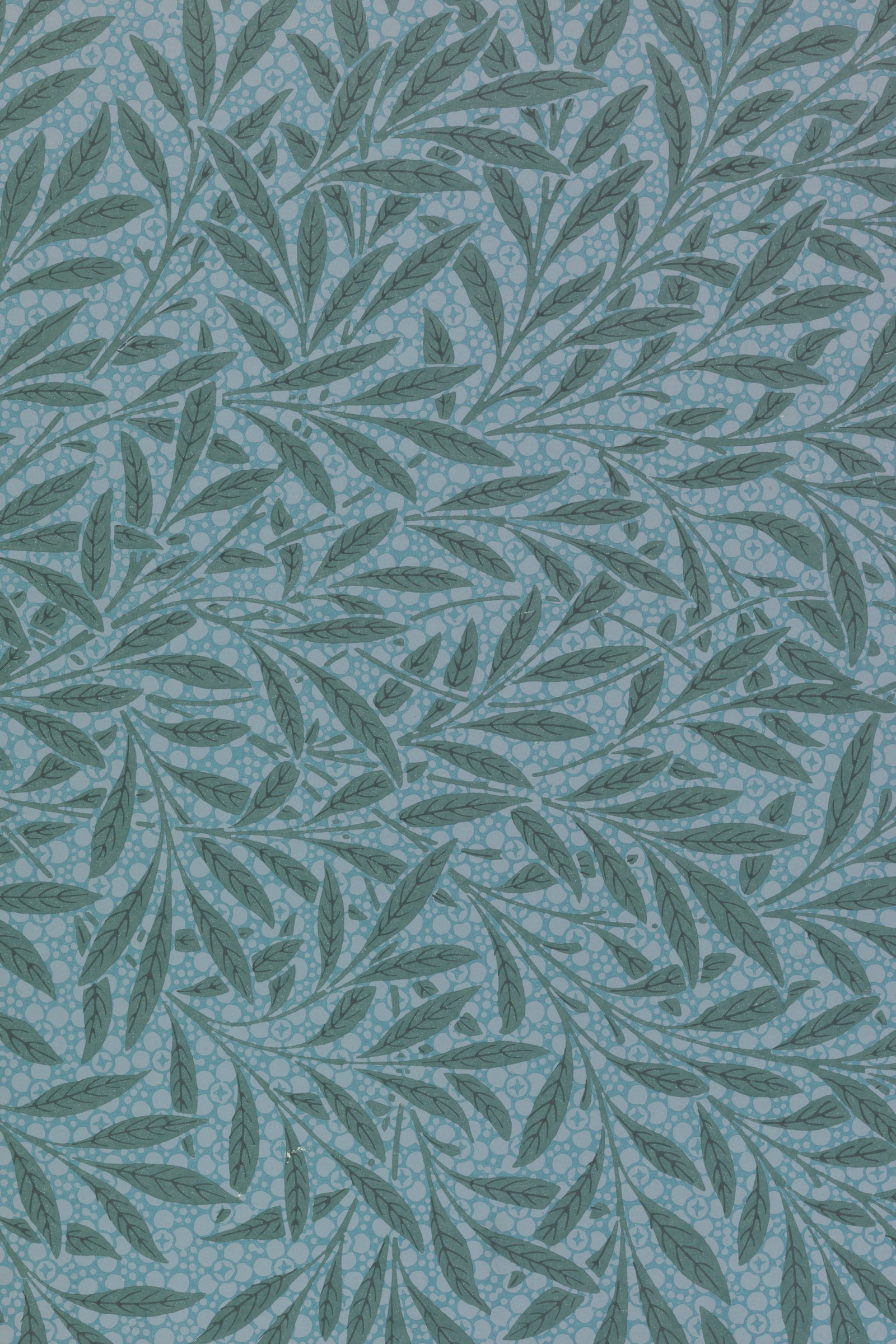 Willow (Blue)