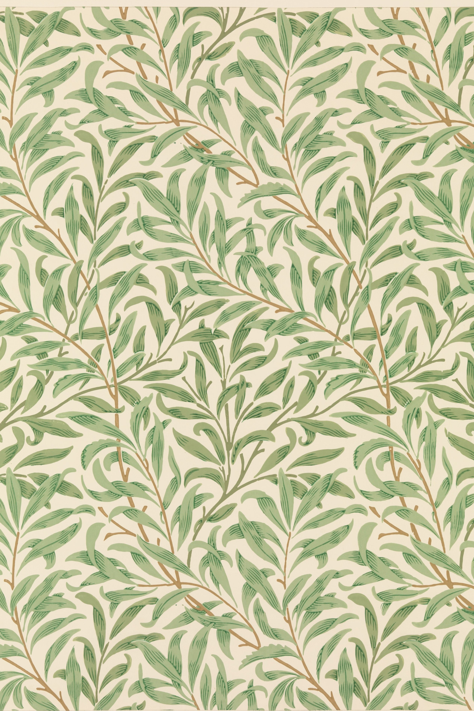 Willow Bough