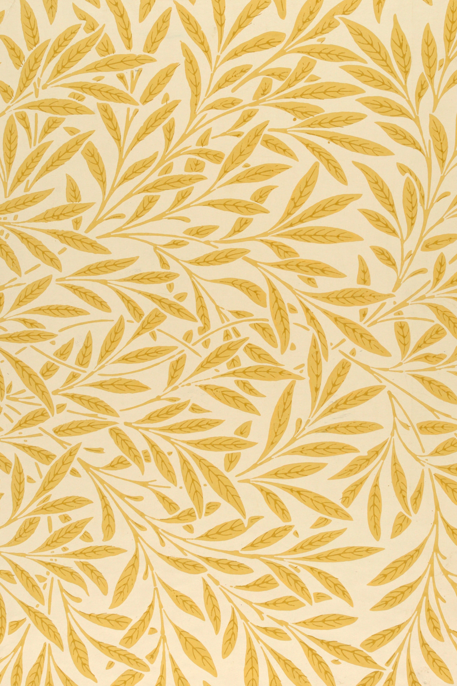 Willow (Gold)