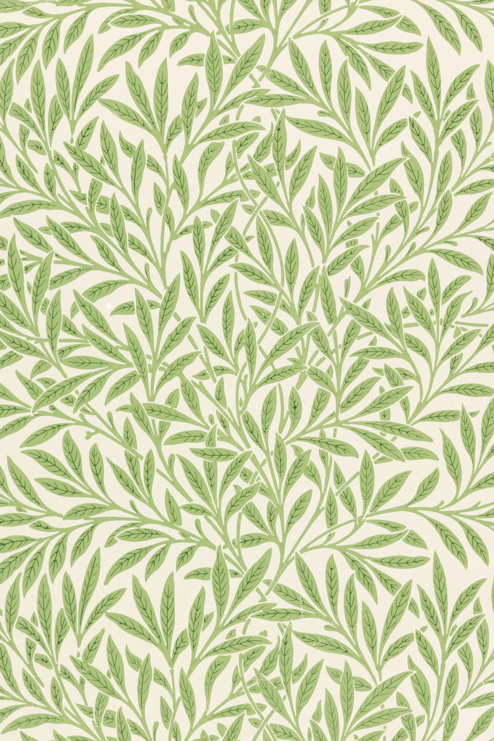 Willow (Green on Cream)