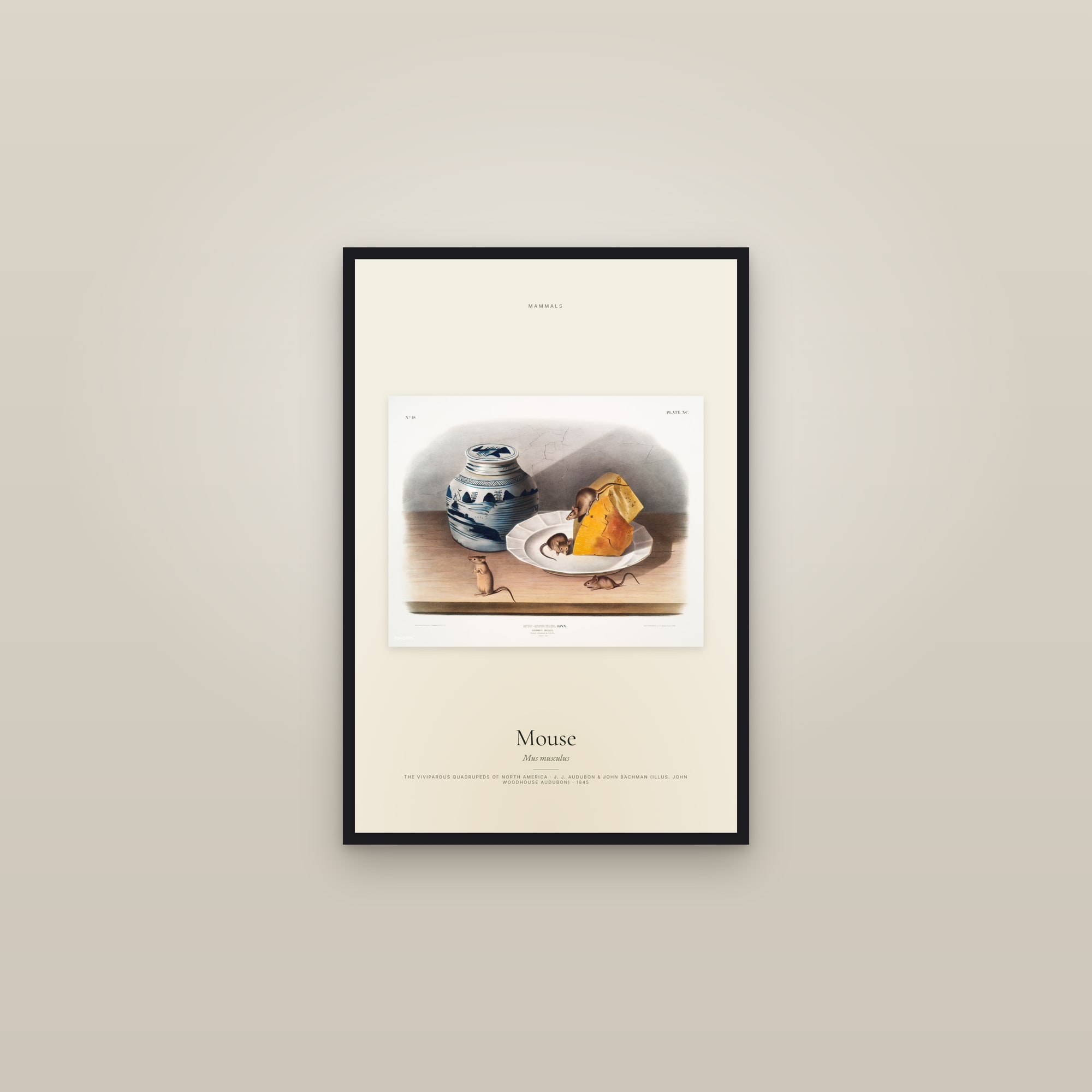 Mouse — framed in a gallery setting