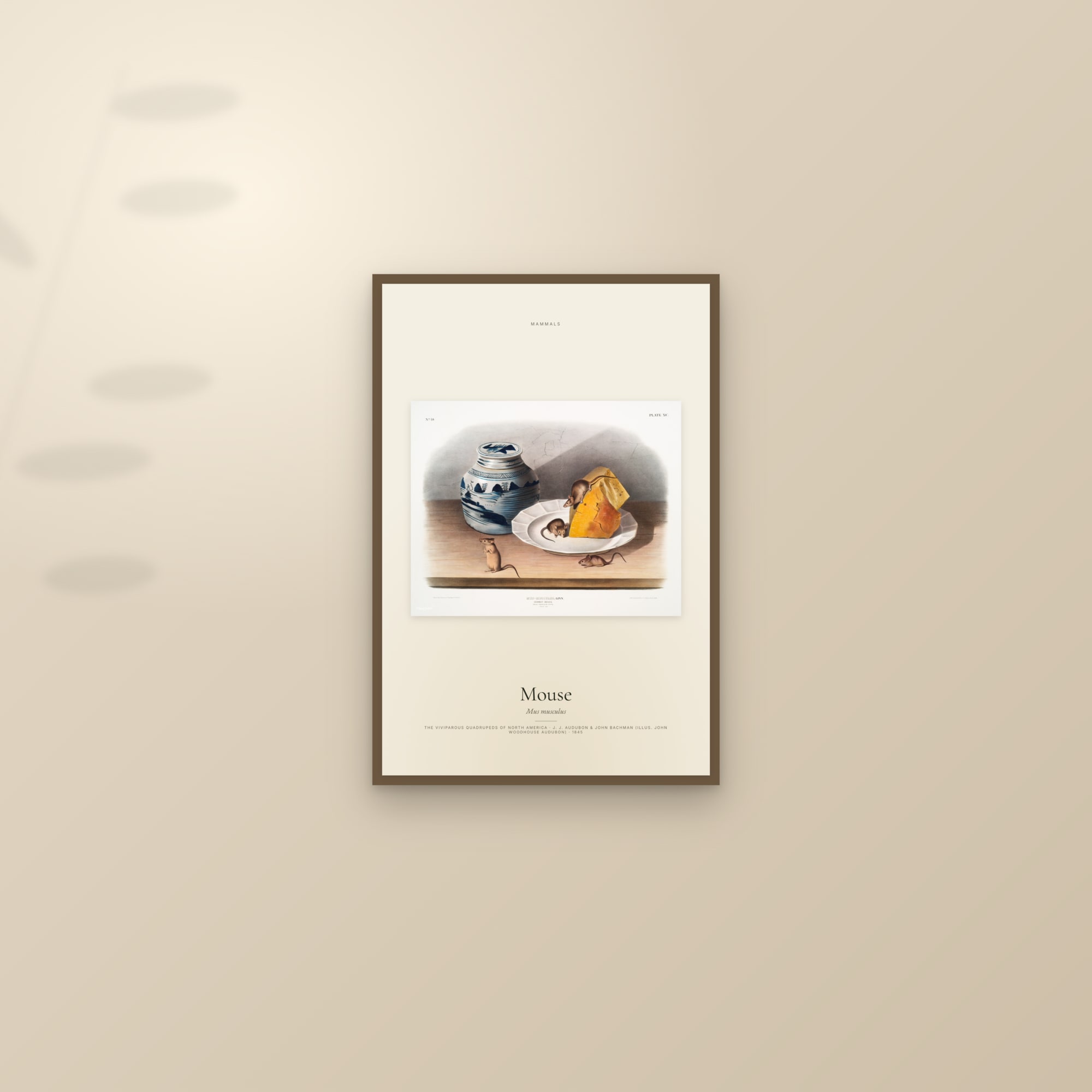 Mouse — framed and styled on a sunlit wall