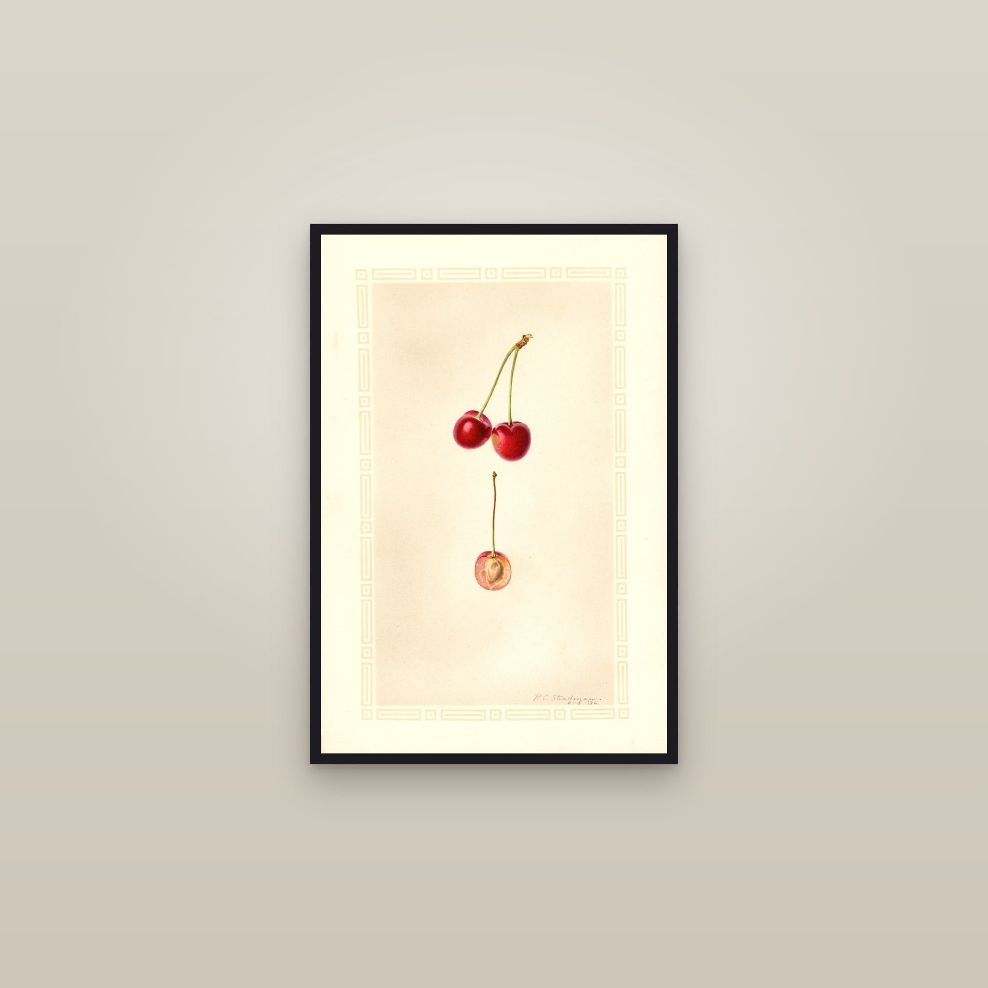 Napolitana Cherry — framed in a gallery setting